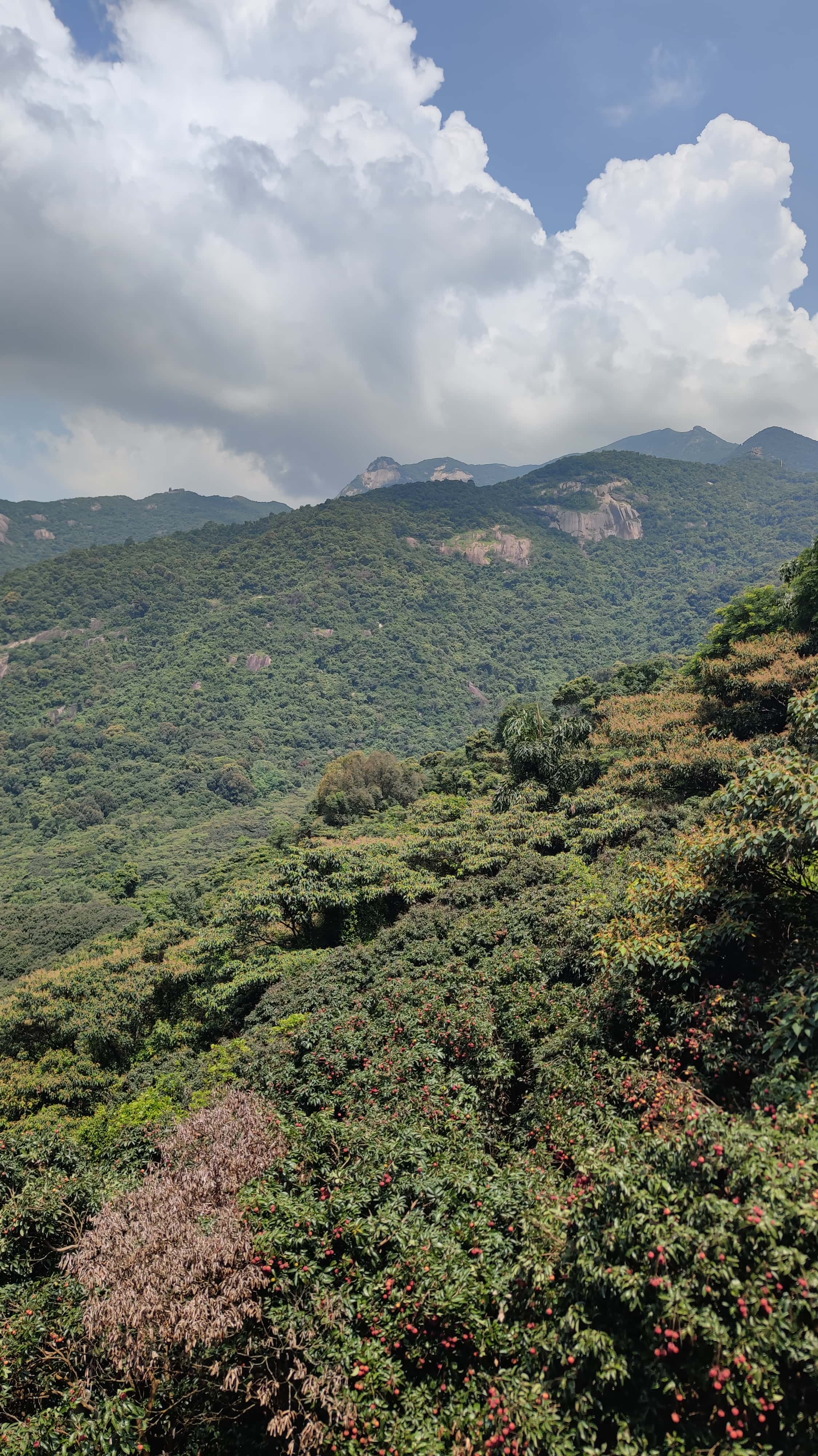 MVIMG_20250705_110407