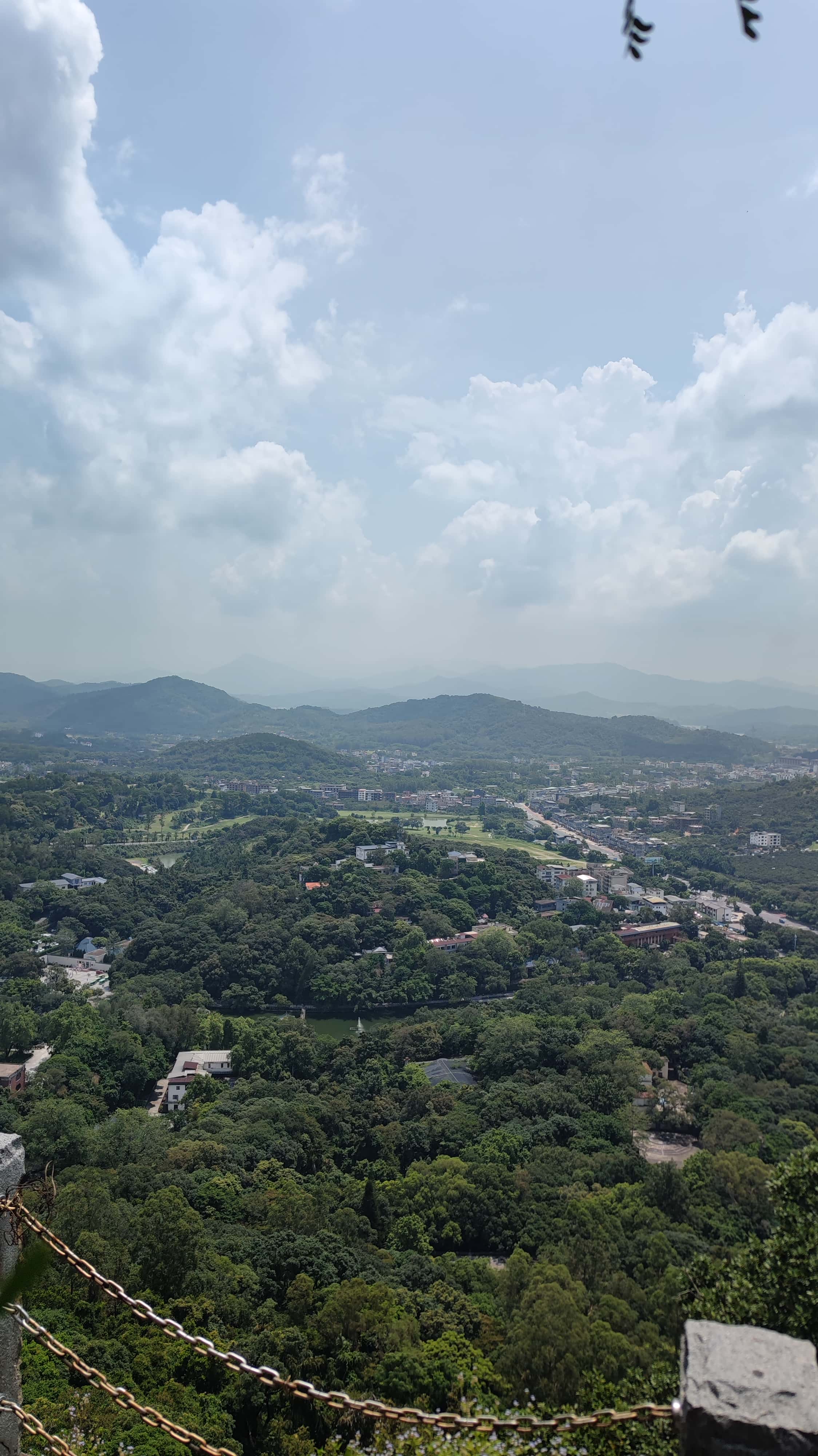 MVIMG_20250705_111040