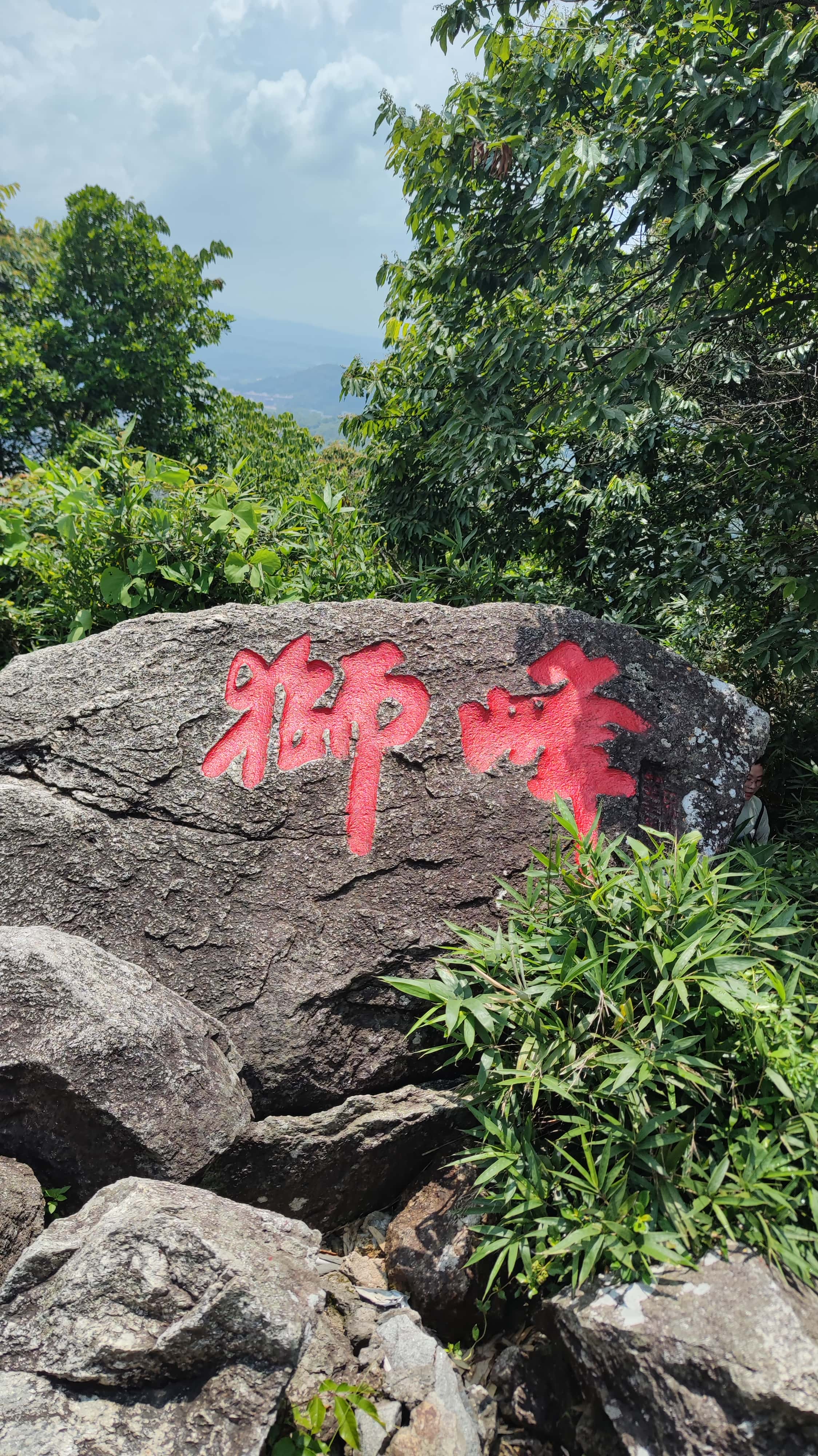 MVIMG_20250705_111406