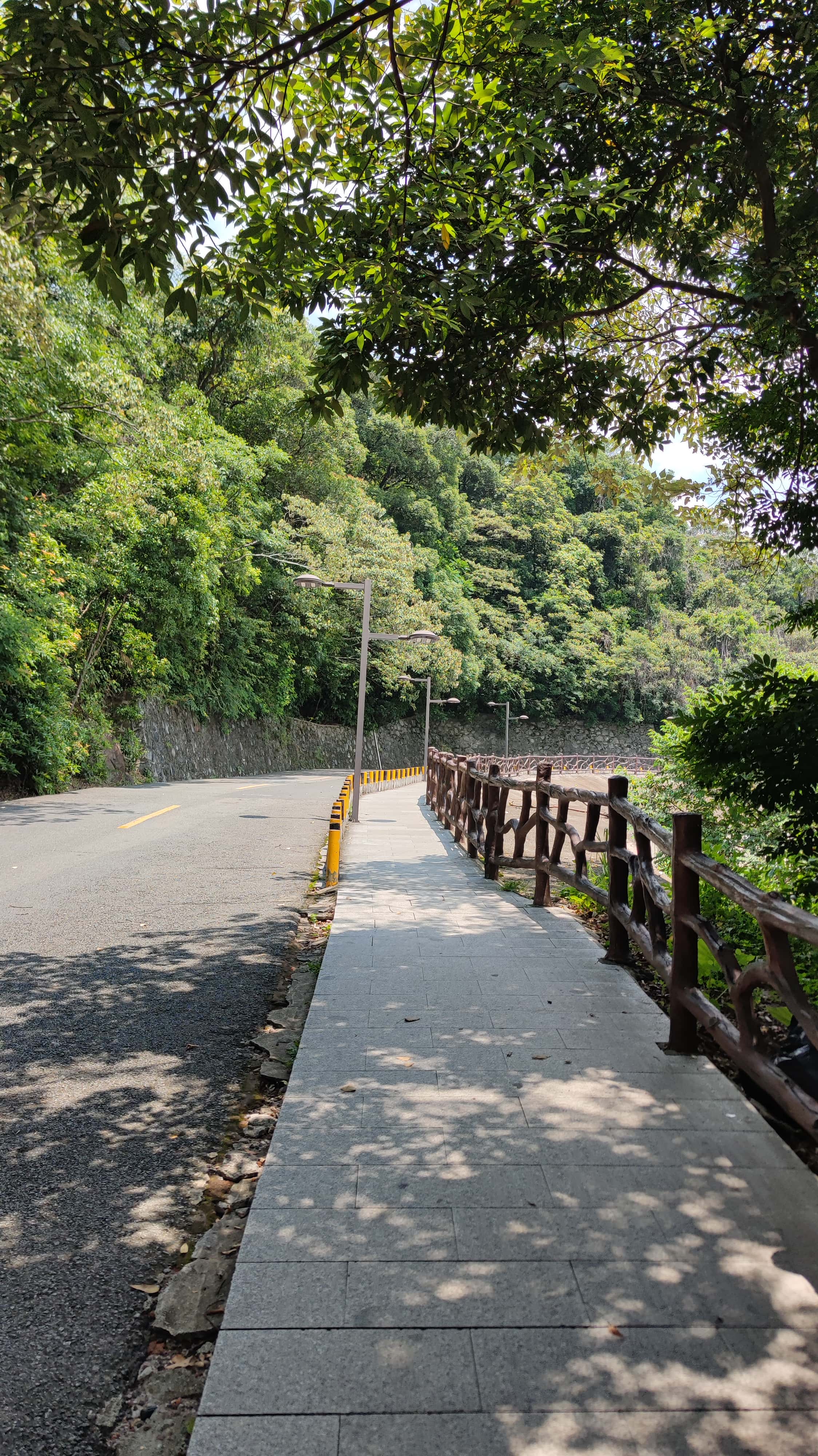 MVIMG_20250705_112558_1