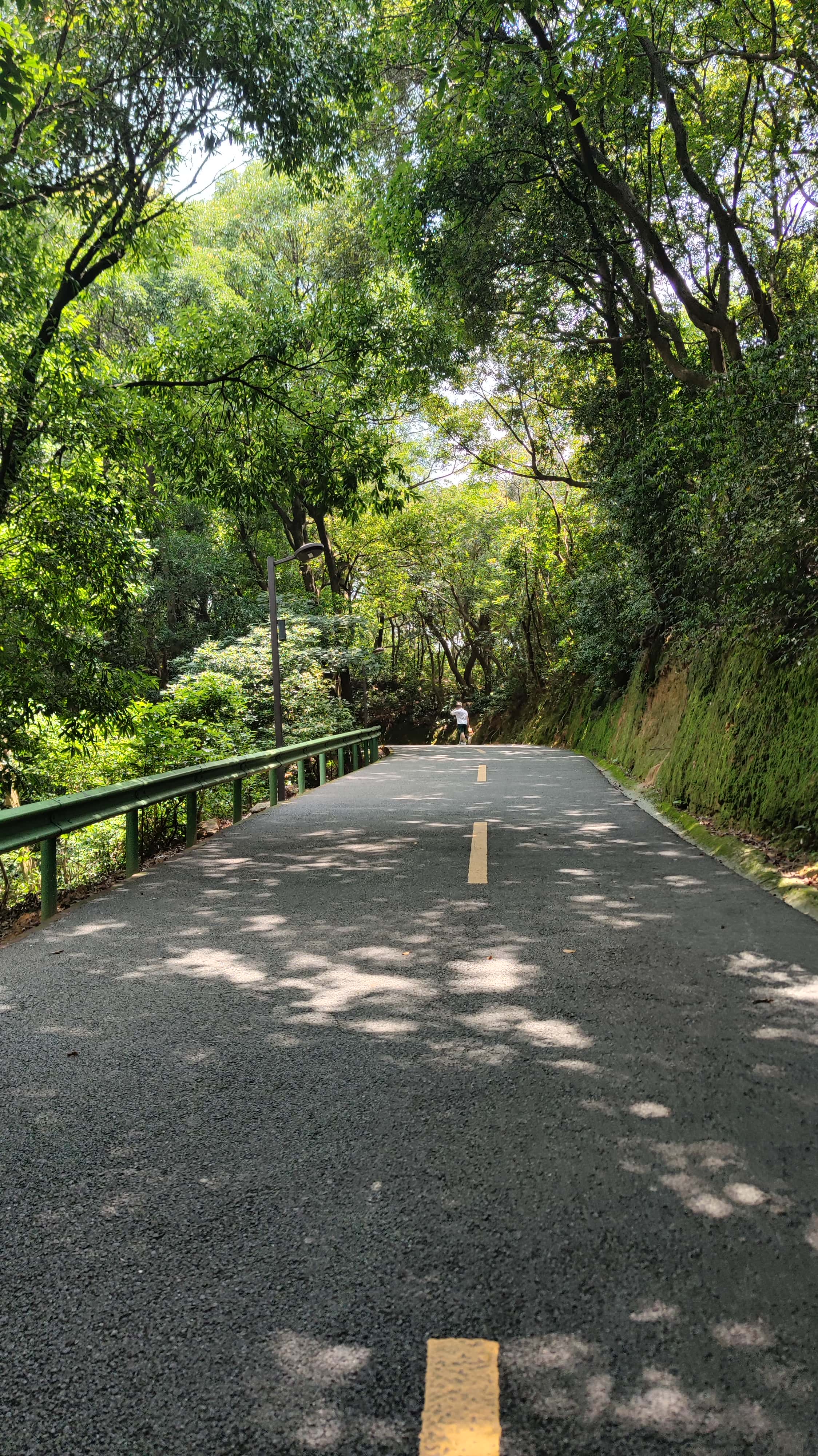 MVIMG_20250705_113447