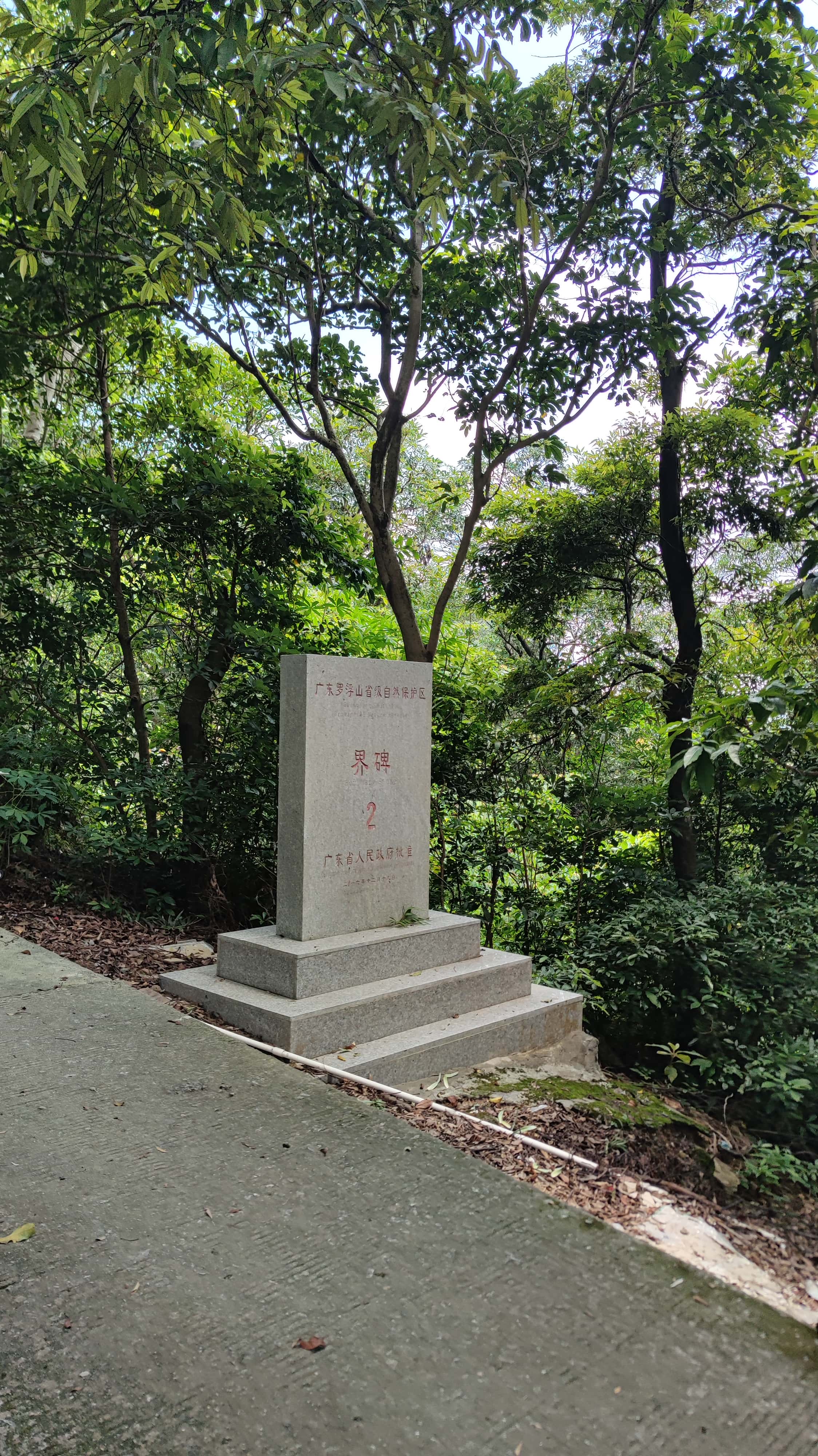 MVIMG_20250705_113925