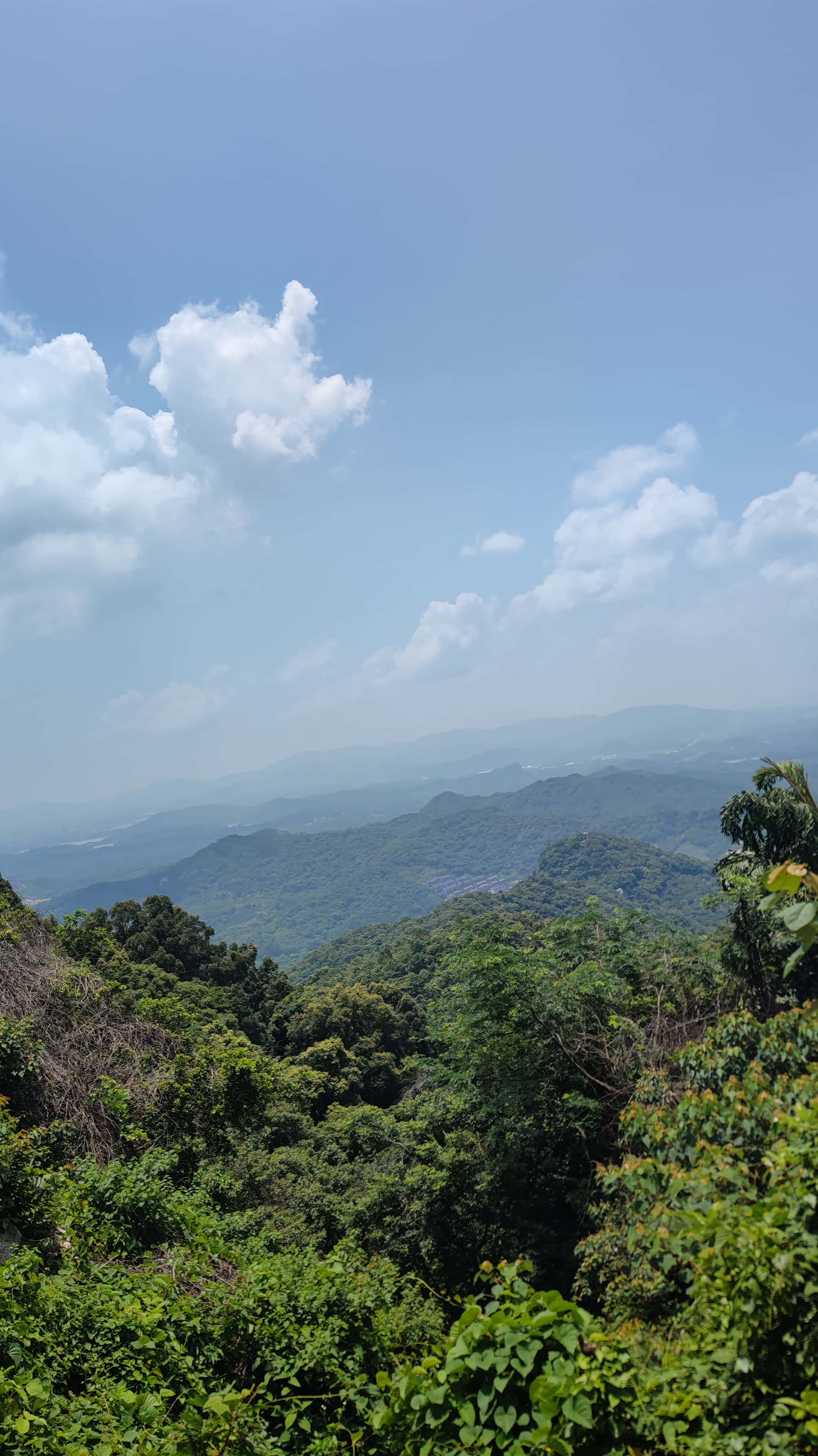 MVIMG_20250705_115001