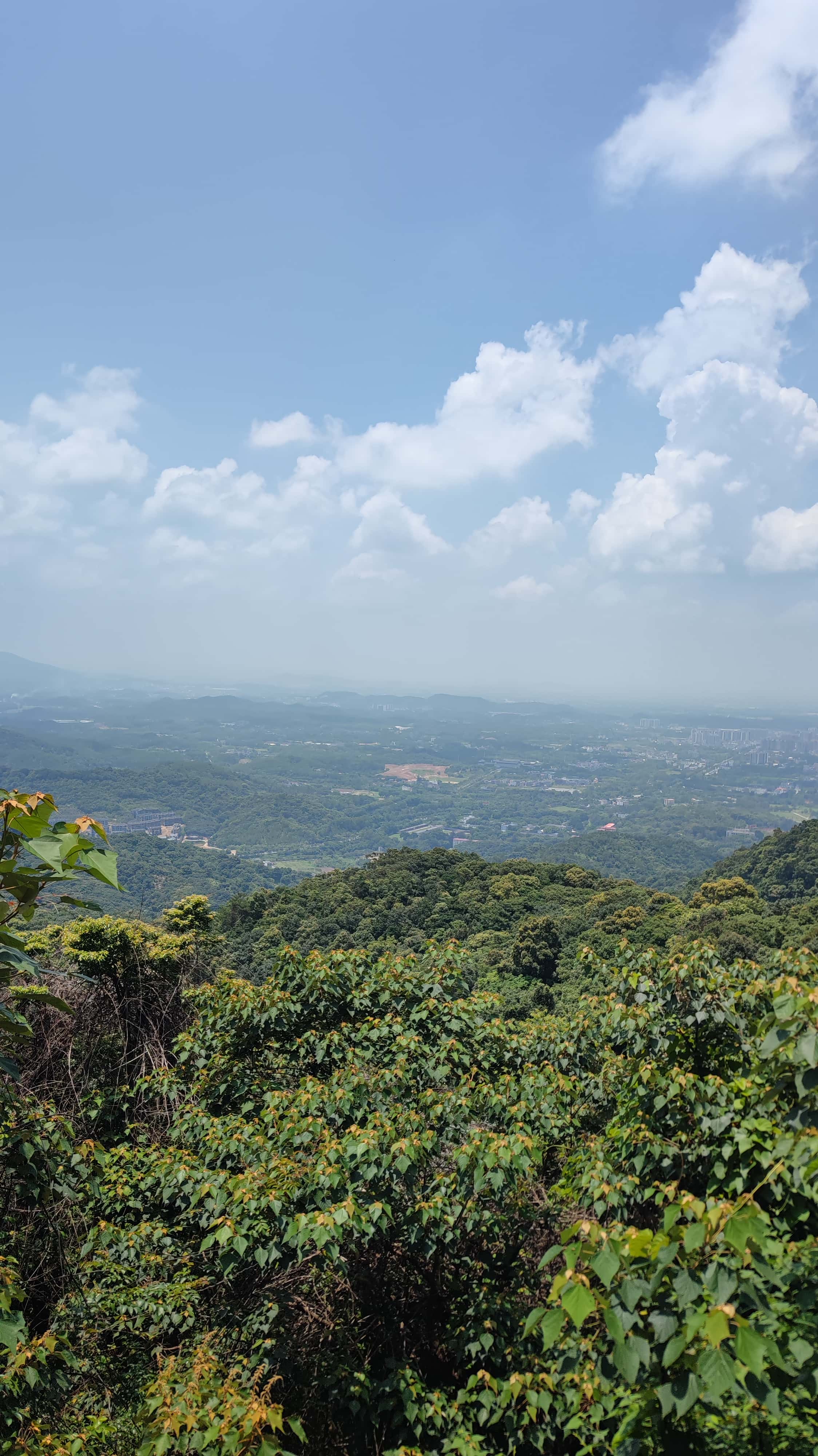 MVIMG_20250705_115102