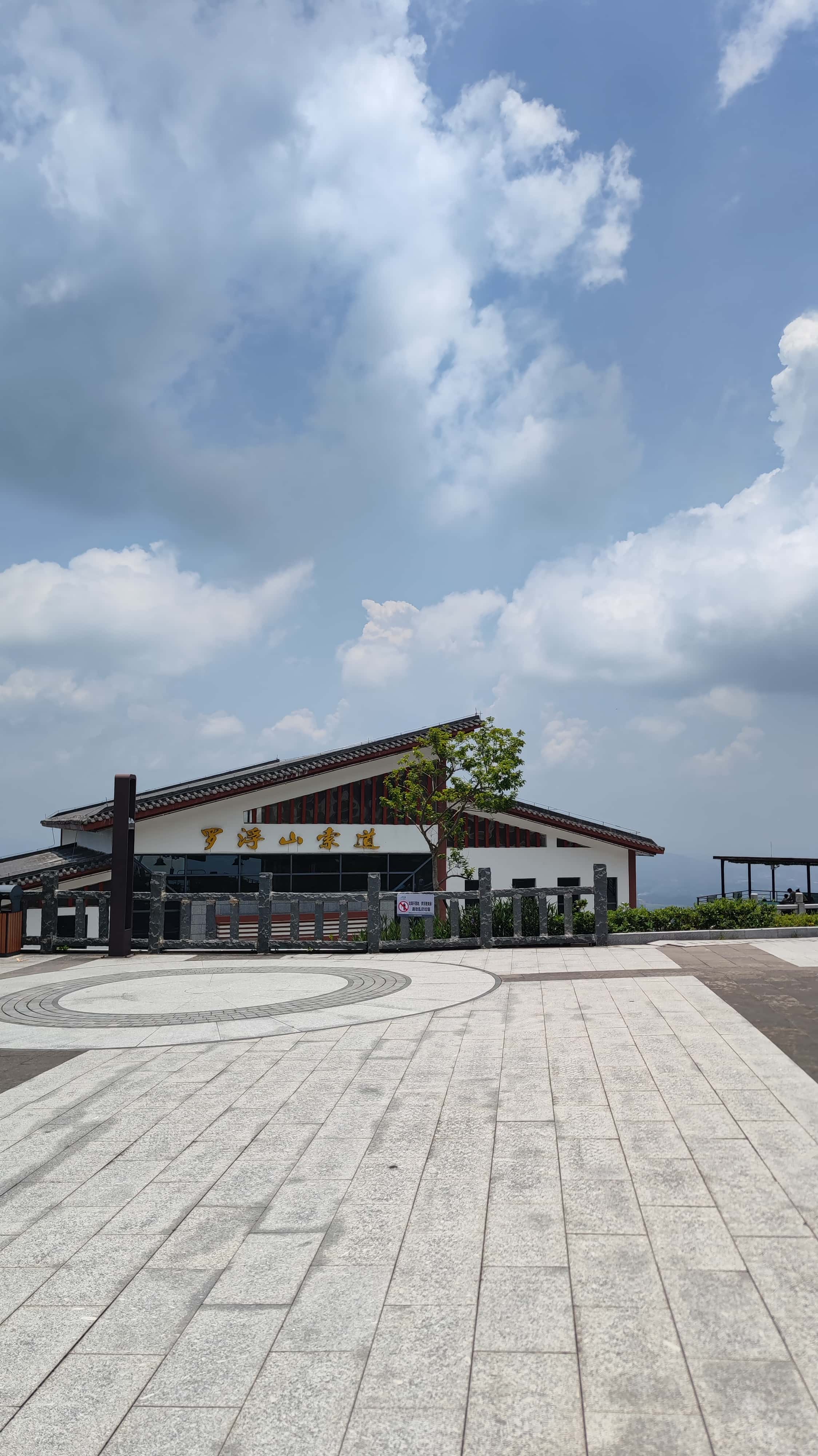 MVIMG_20250705_123325_1