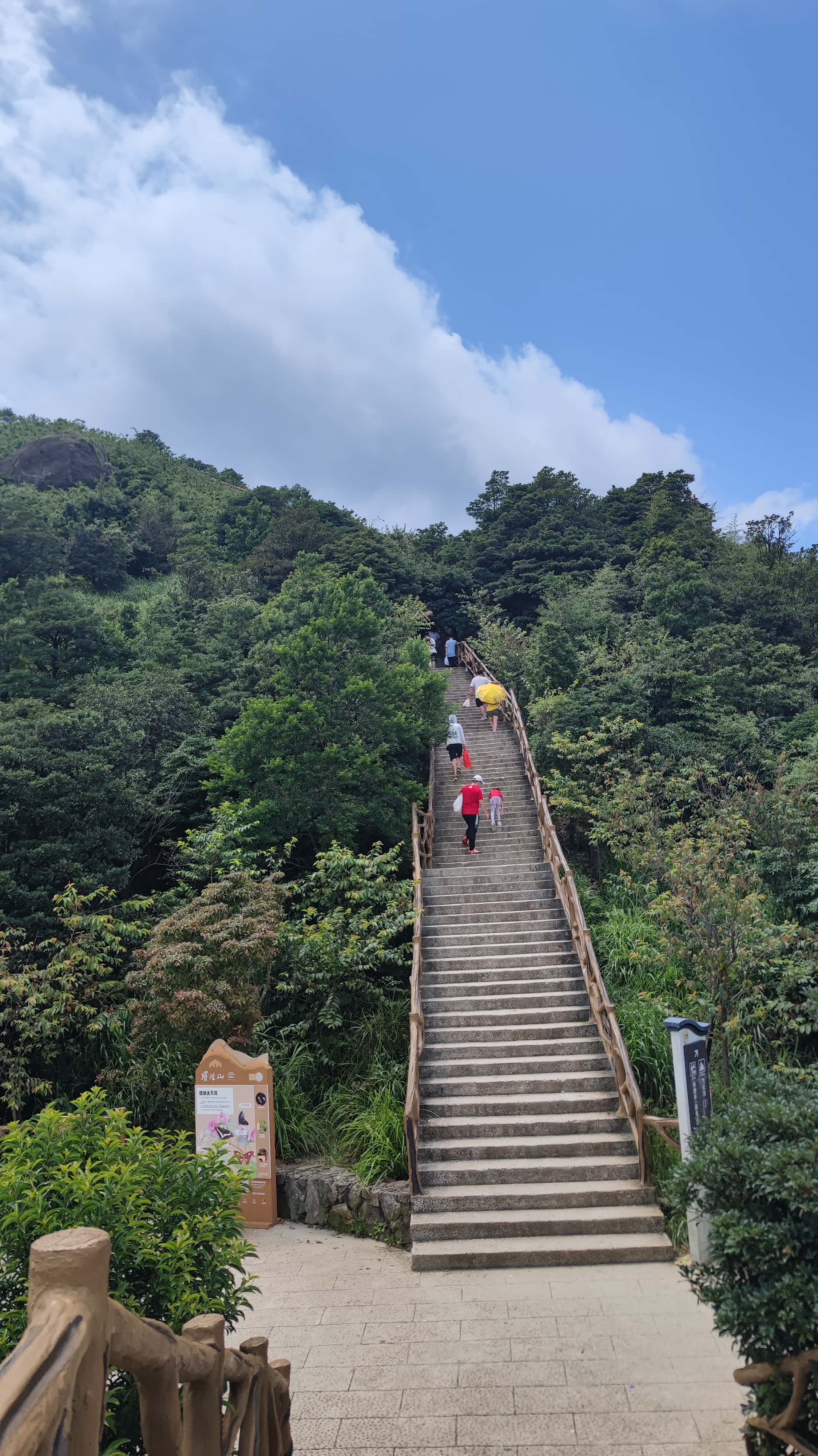 MVIMG_20250705_134918