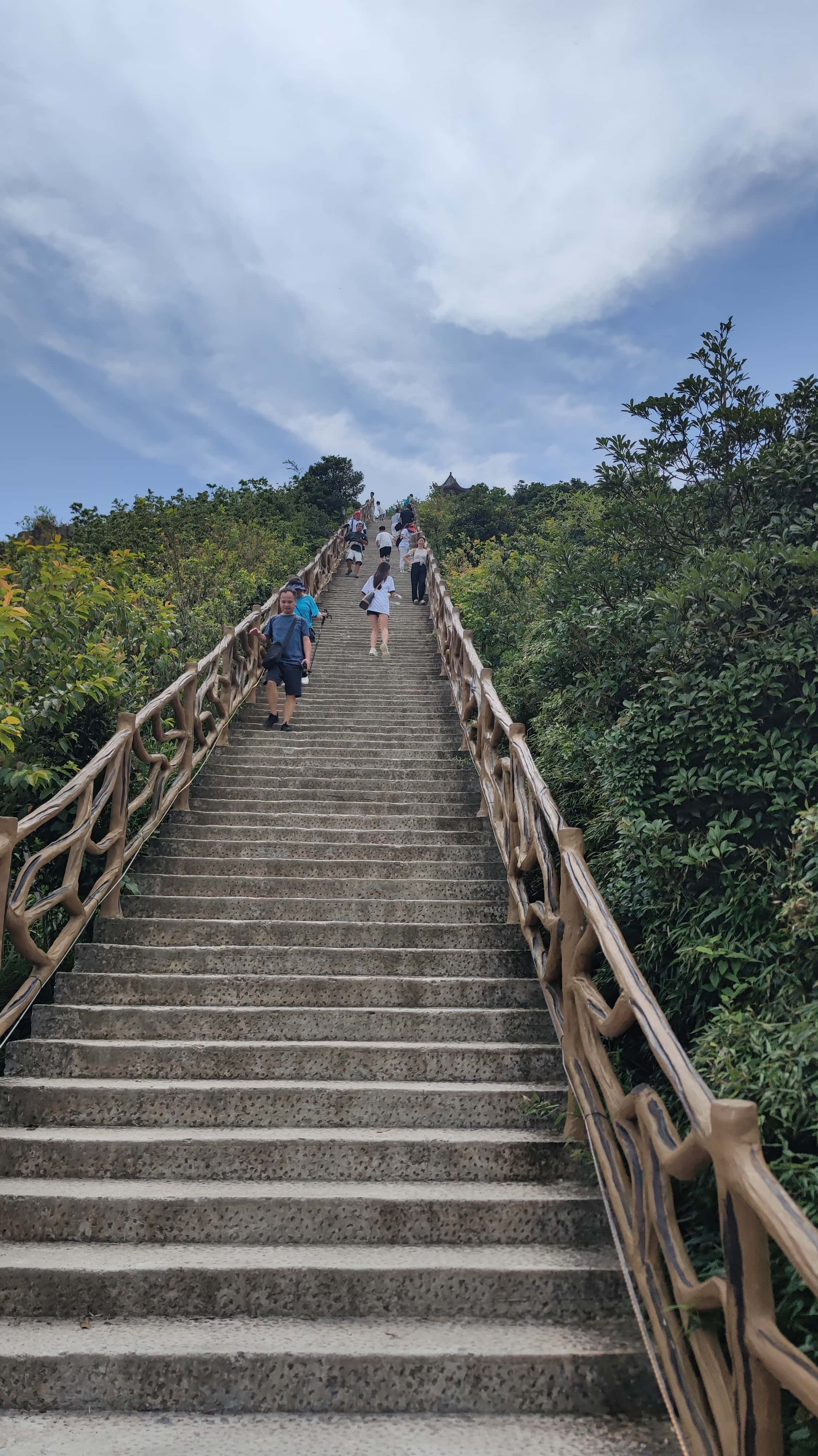 MVIMG_20250705_135840