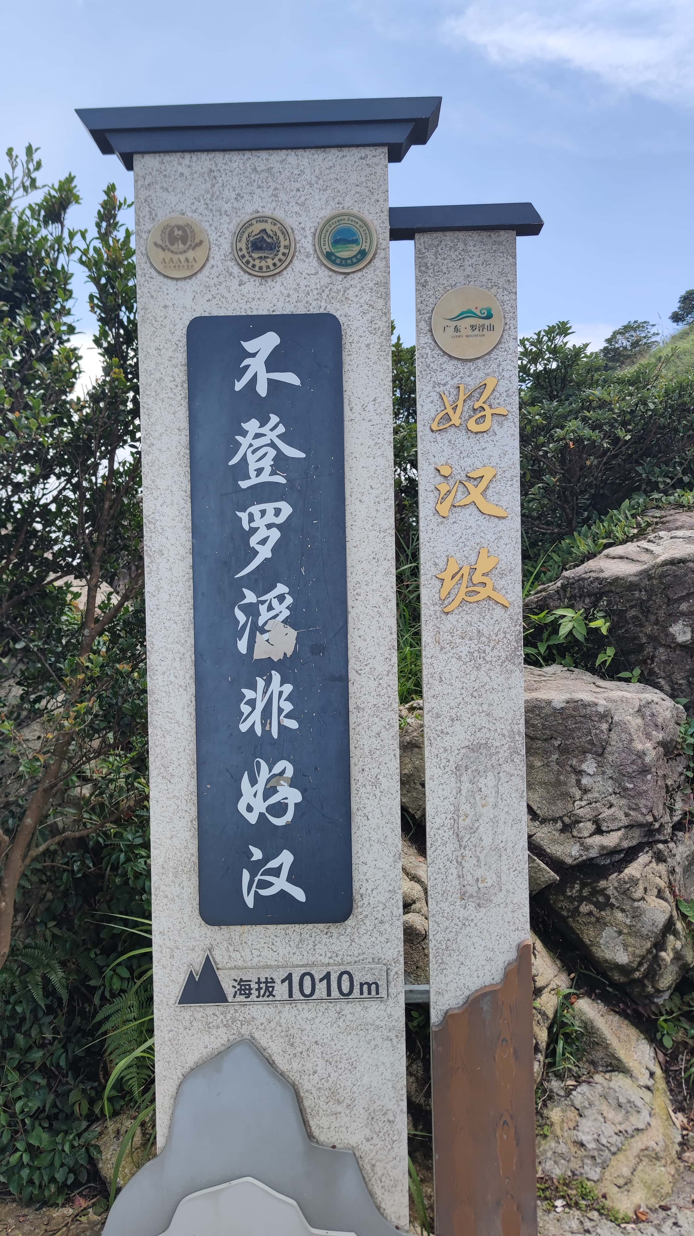 MVIMG_20250705_140609