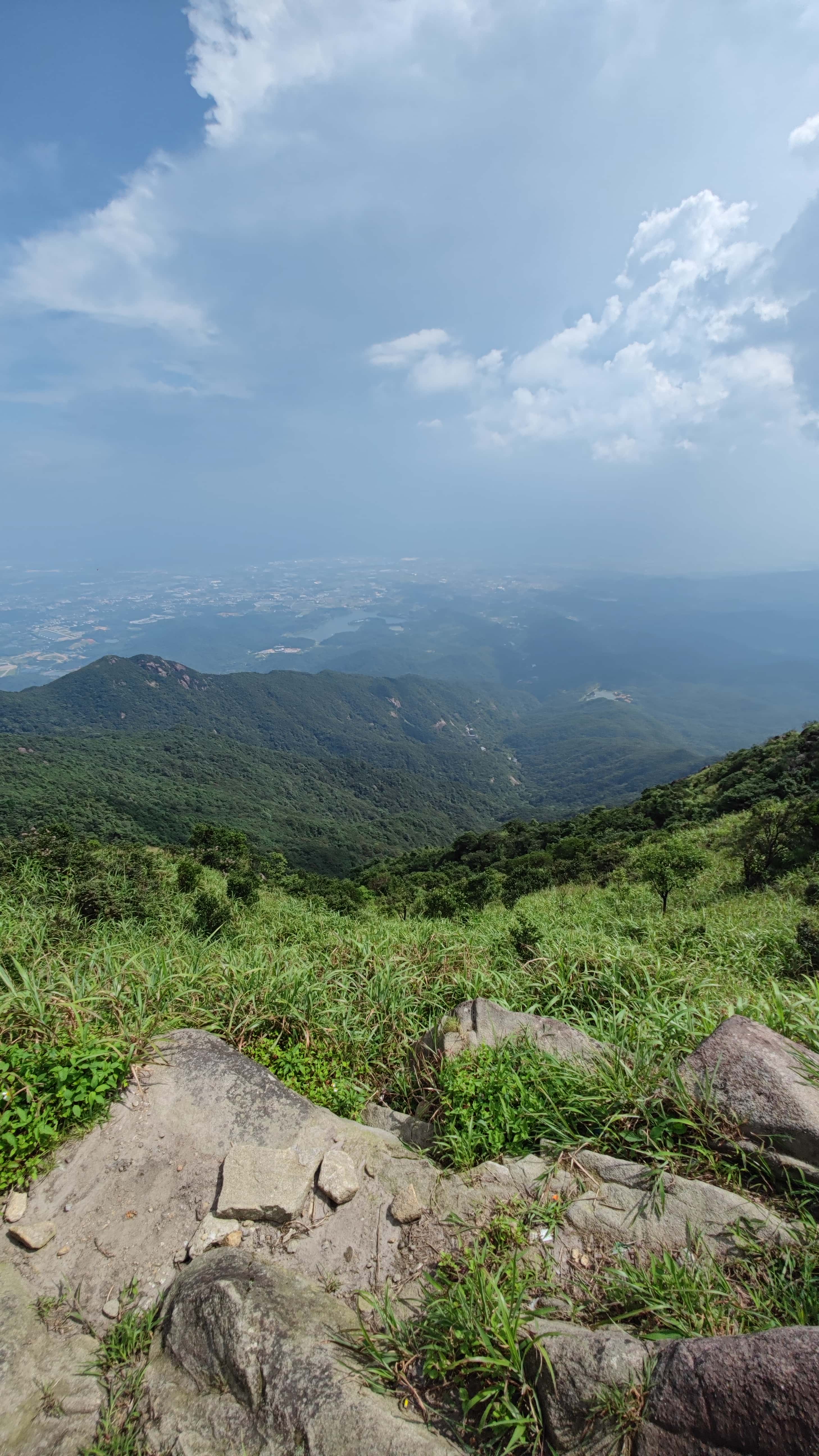 MVIMG_20250705_150224