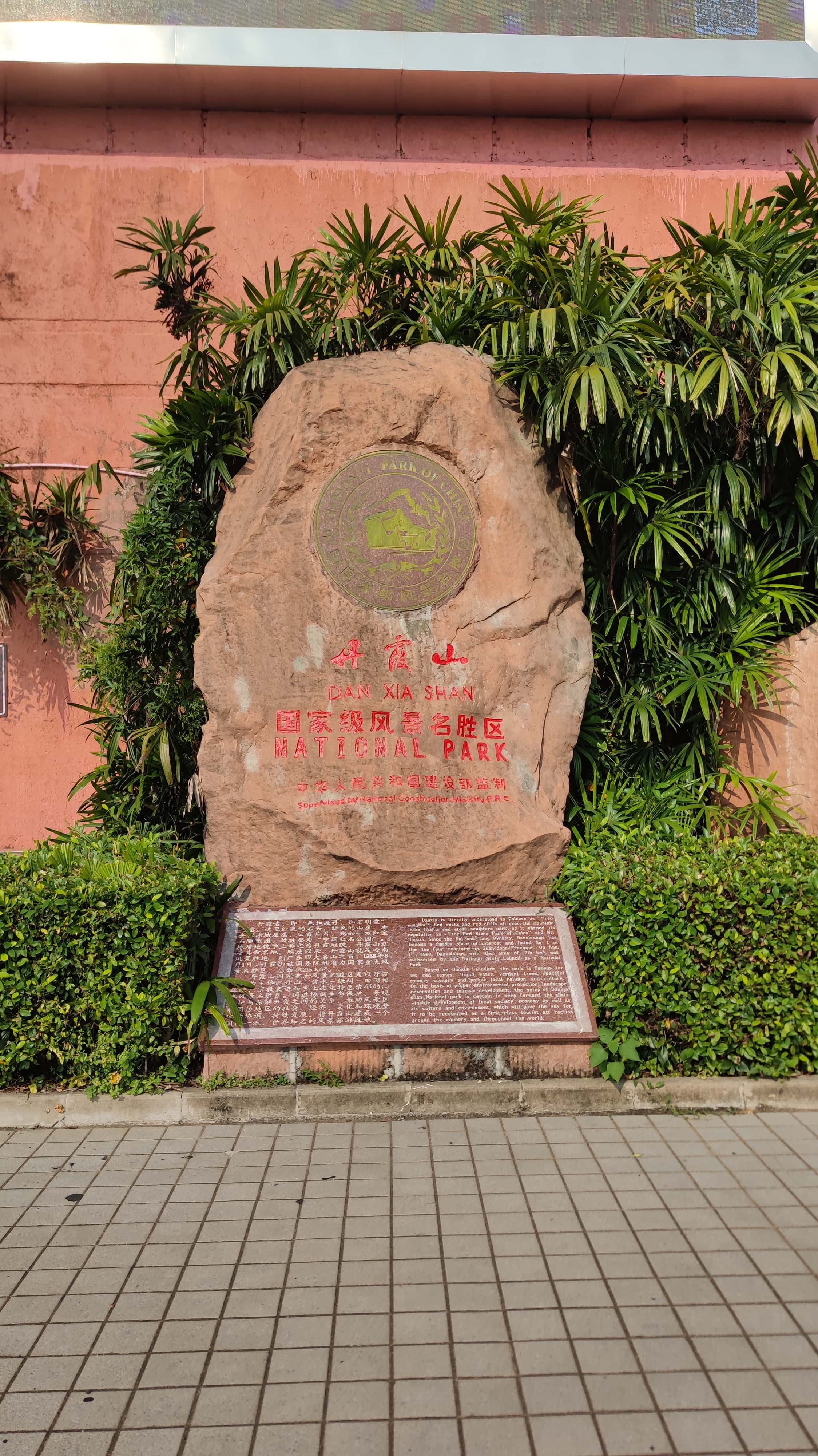 MVIMG_20250707_082627