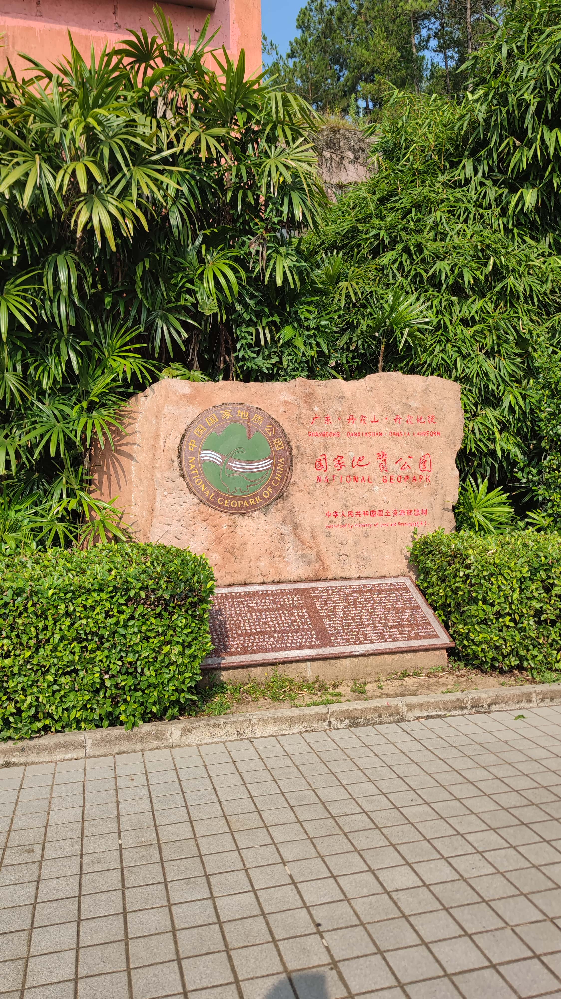 MVIMG_20250707_082632