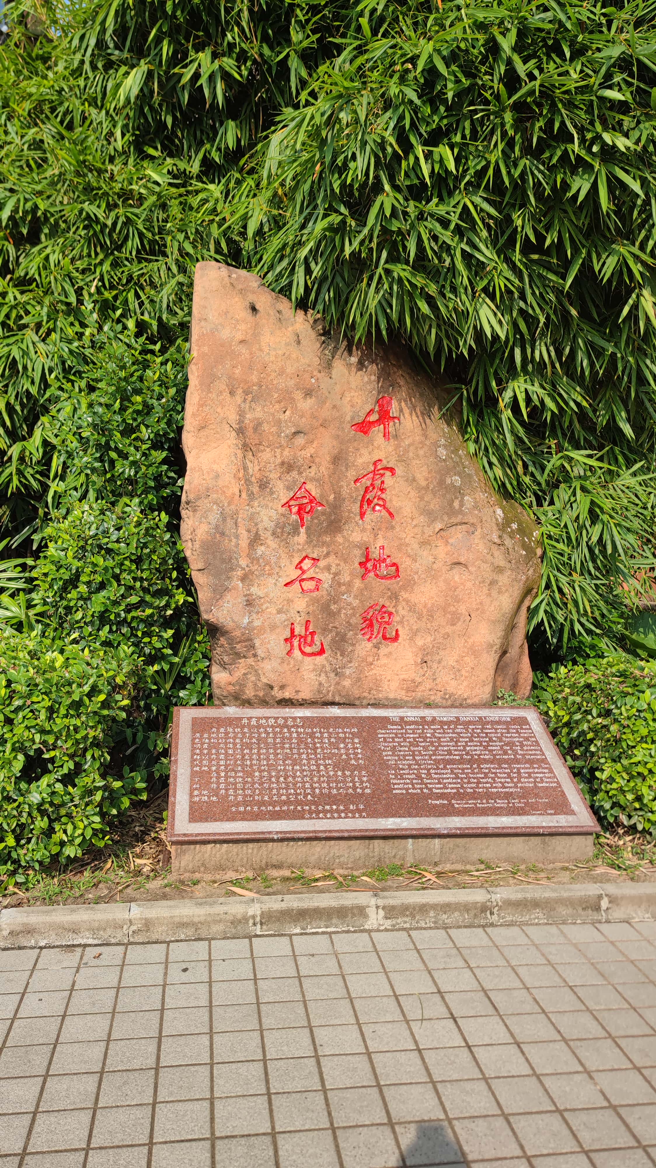 MVIMG_20250707_082640