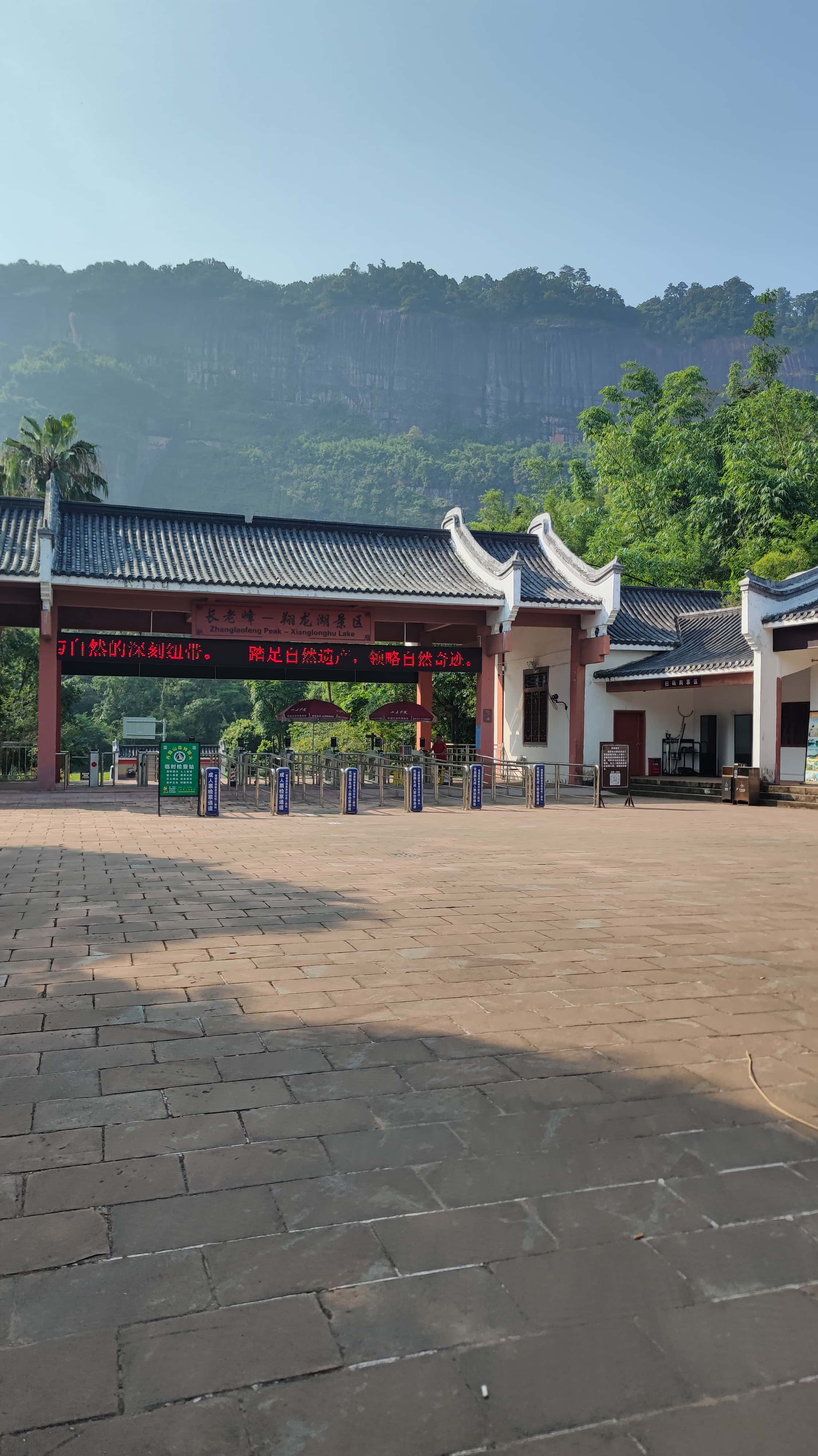 MVIMG_20250707_083636