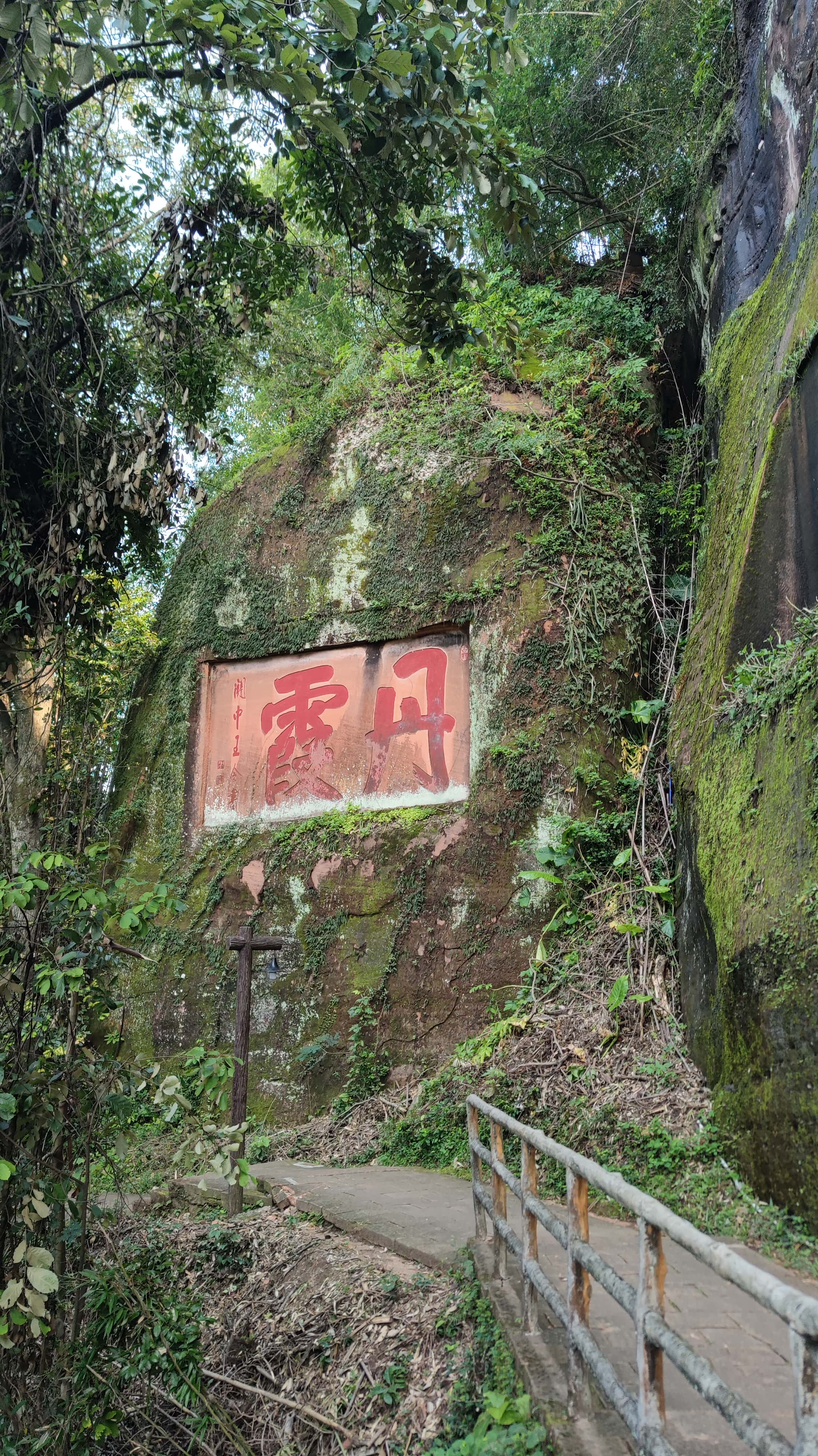 MVIMG_20250707_090444