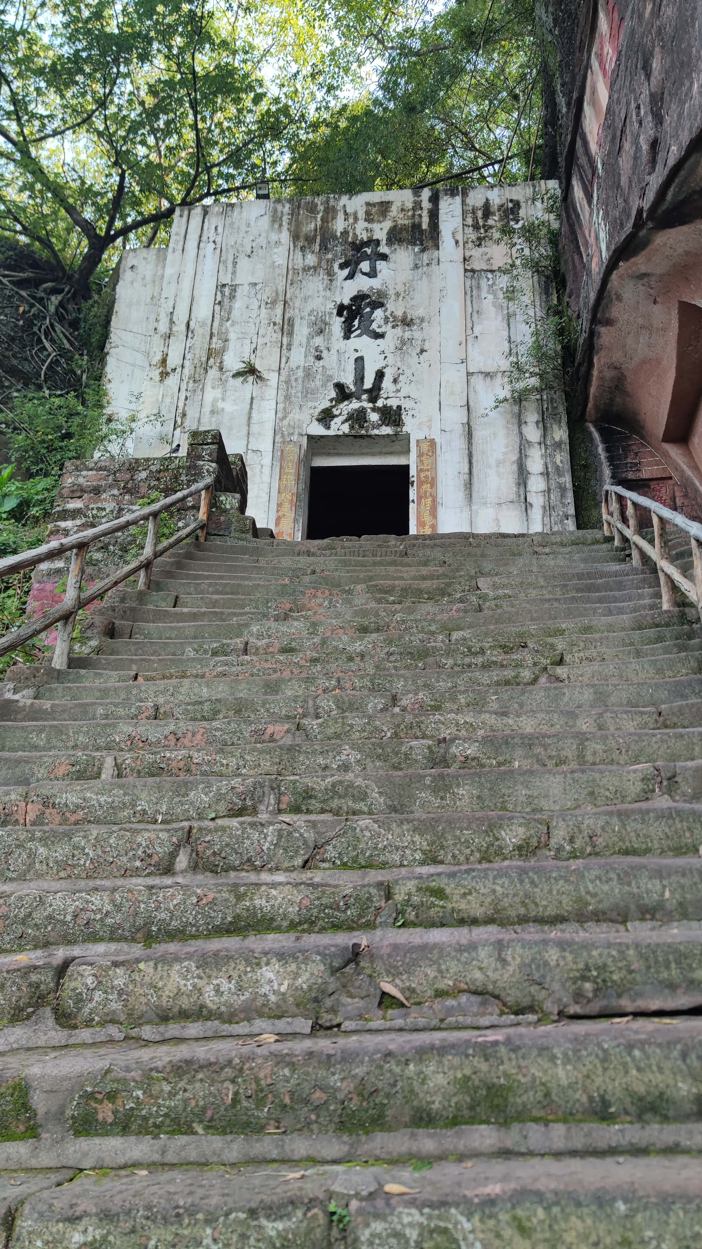 MVIMG_20250707_090817