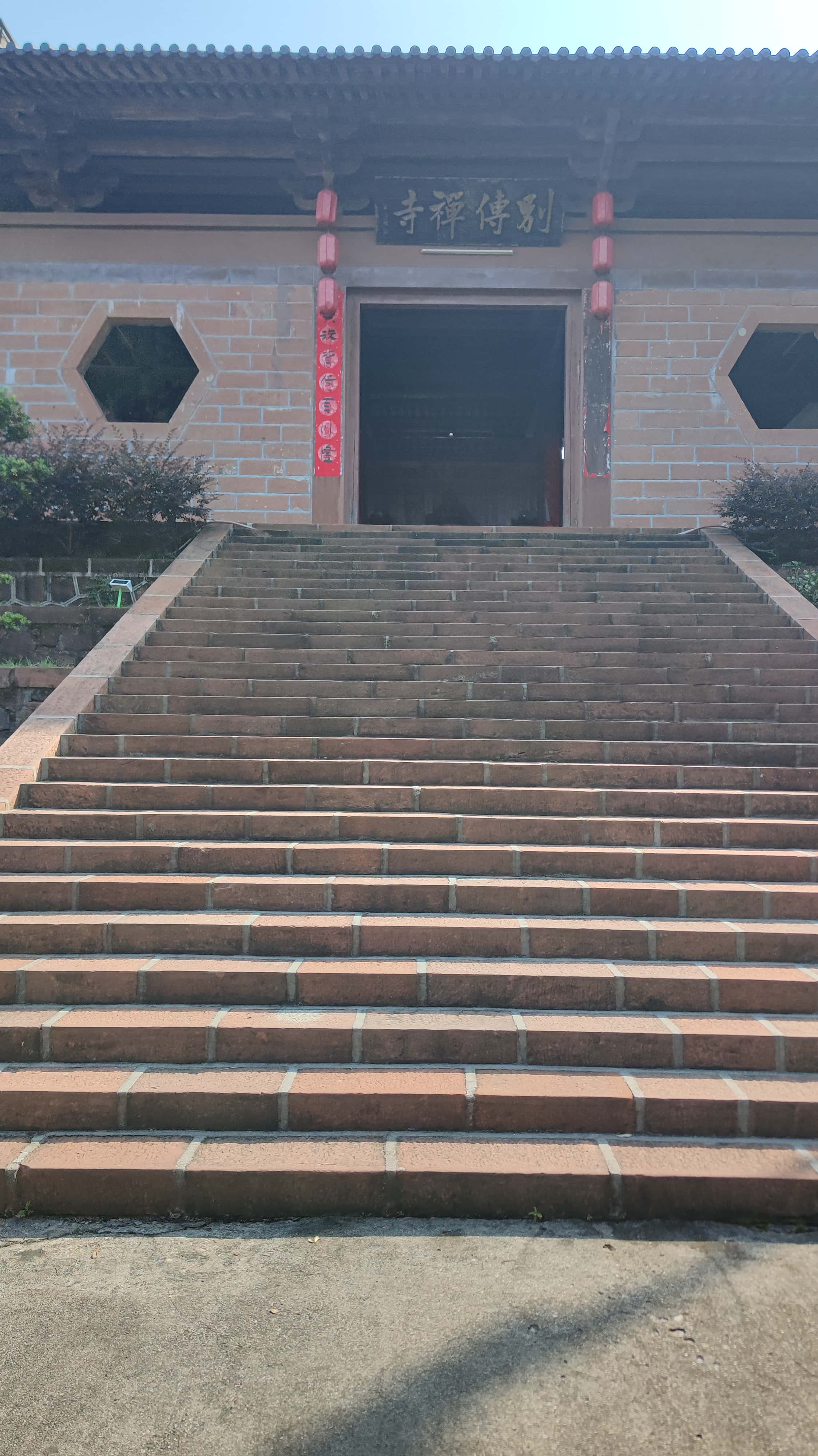 MVIMG_20250707_091051_1