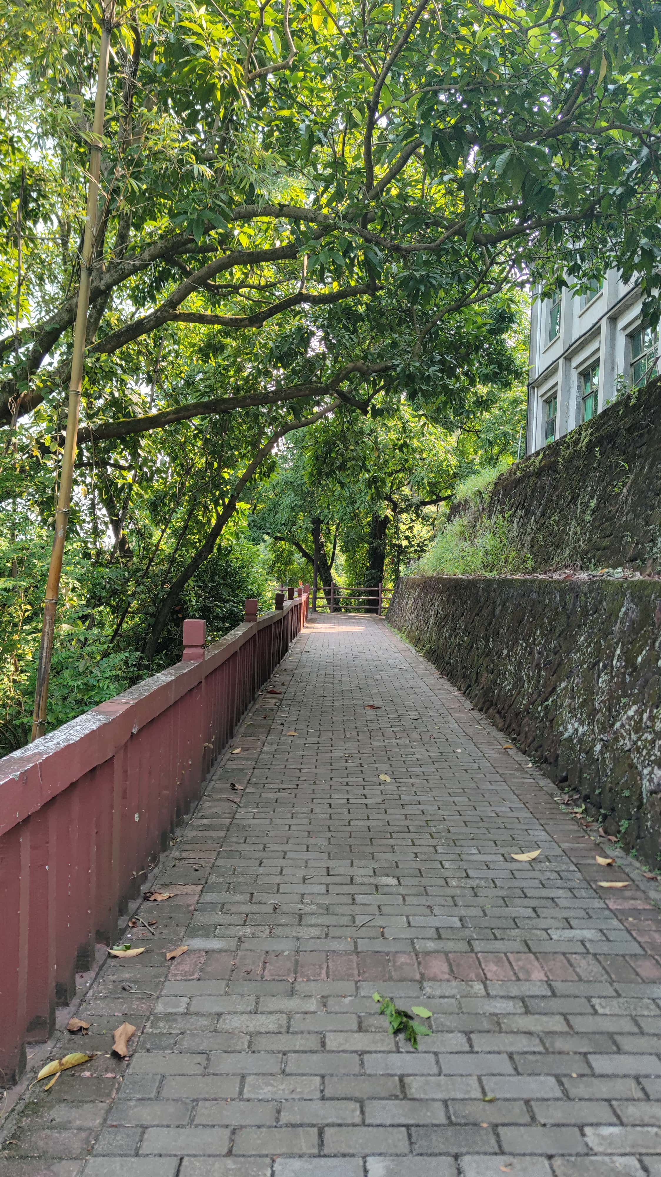 MVIMG_20250707_091906