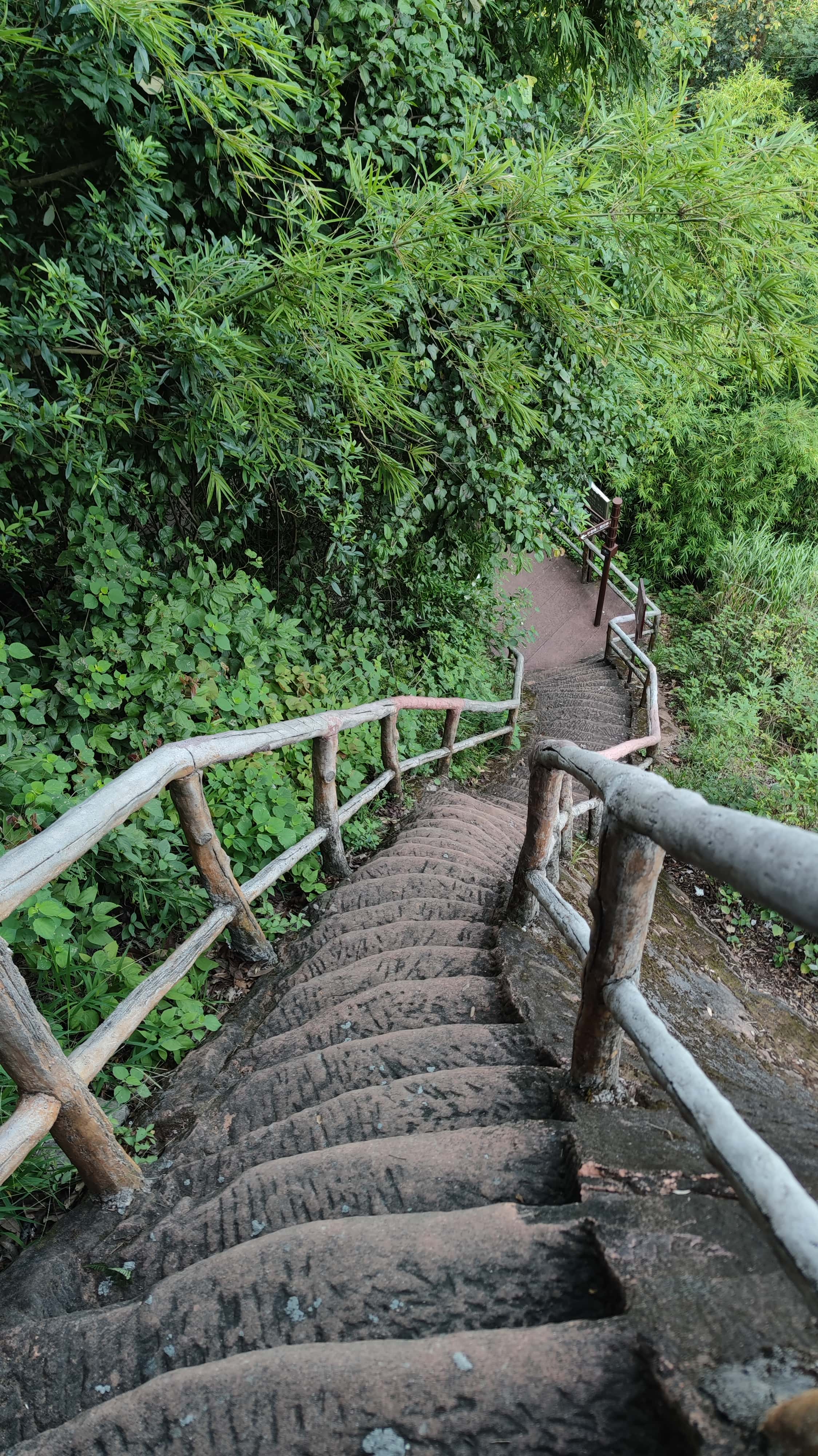 MVIMG_20250707_092528