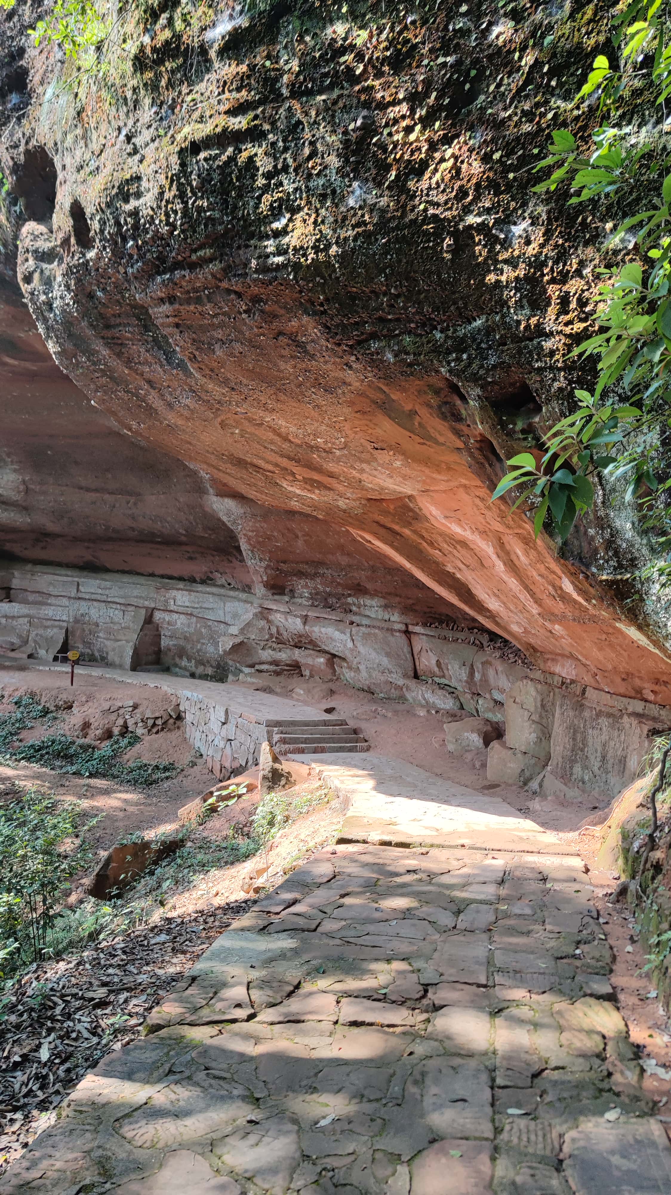 MVIMG_20250707_094237