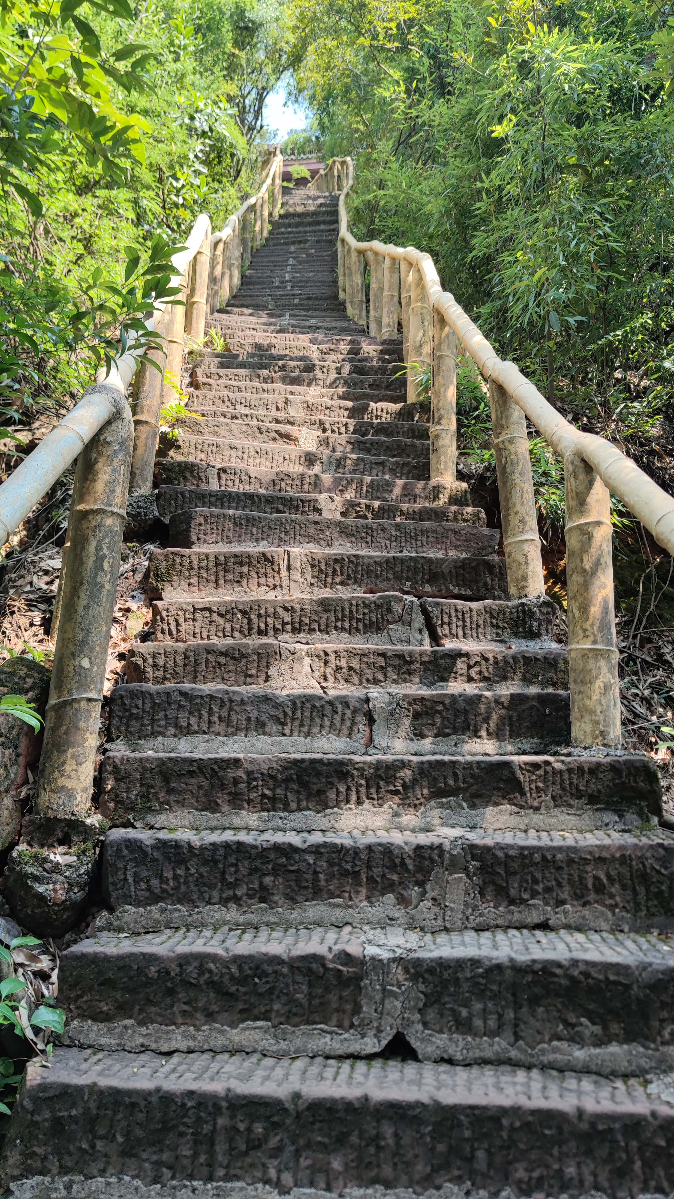 MVIMG_20250707_100035