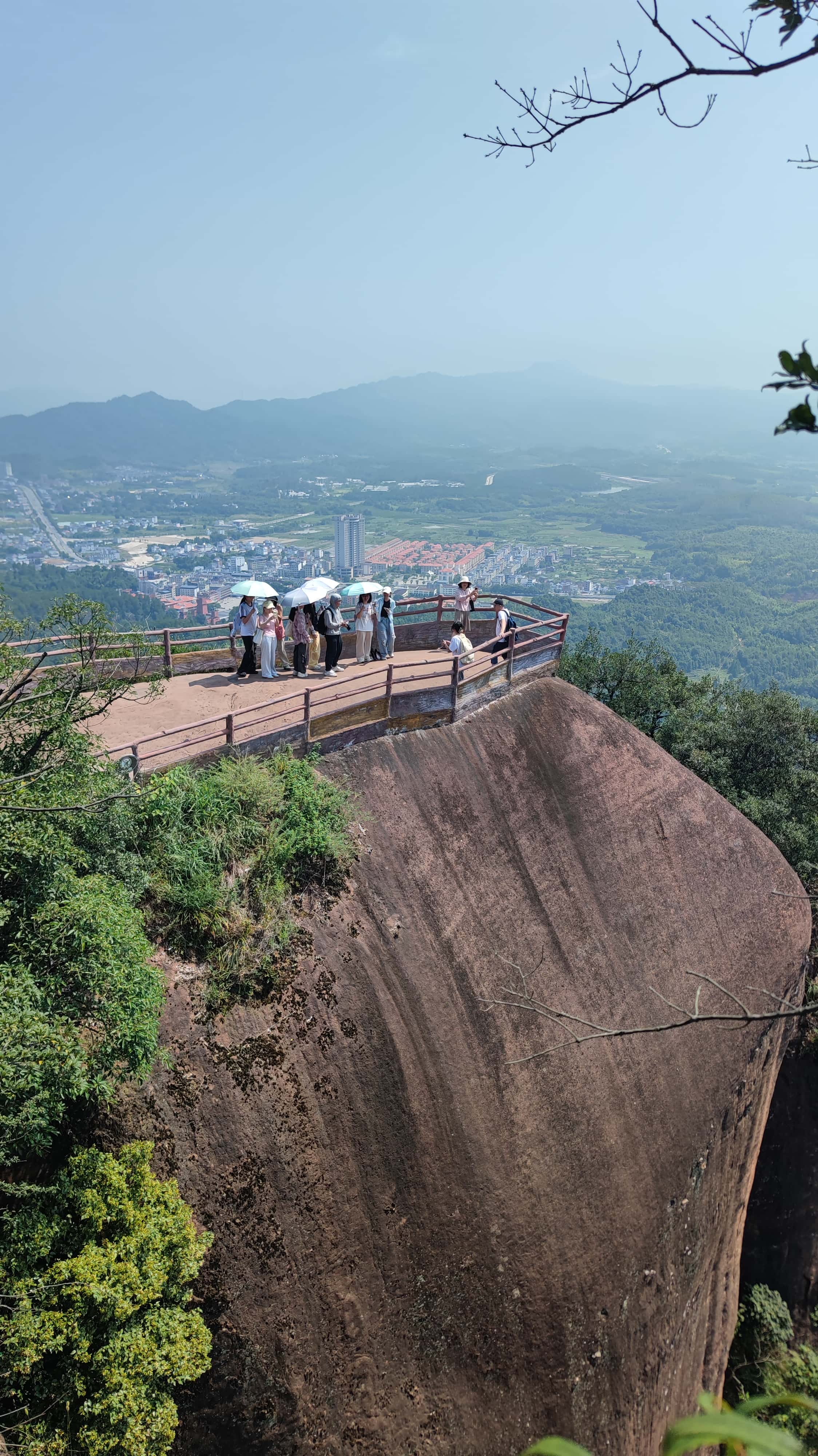 MVIMG_20250707_102826