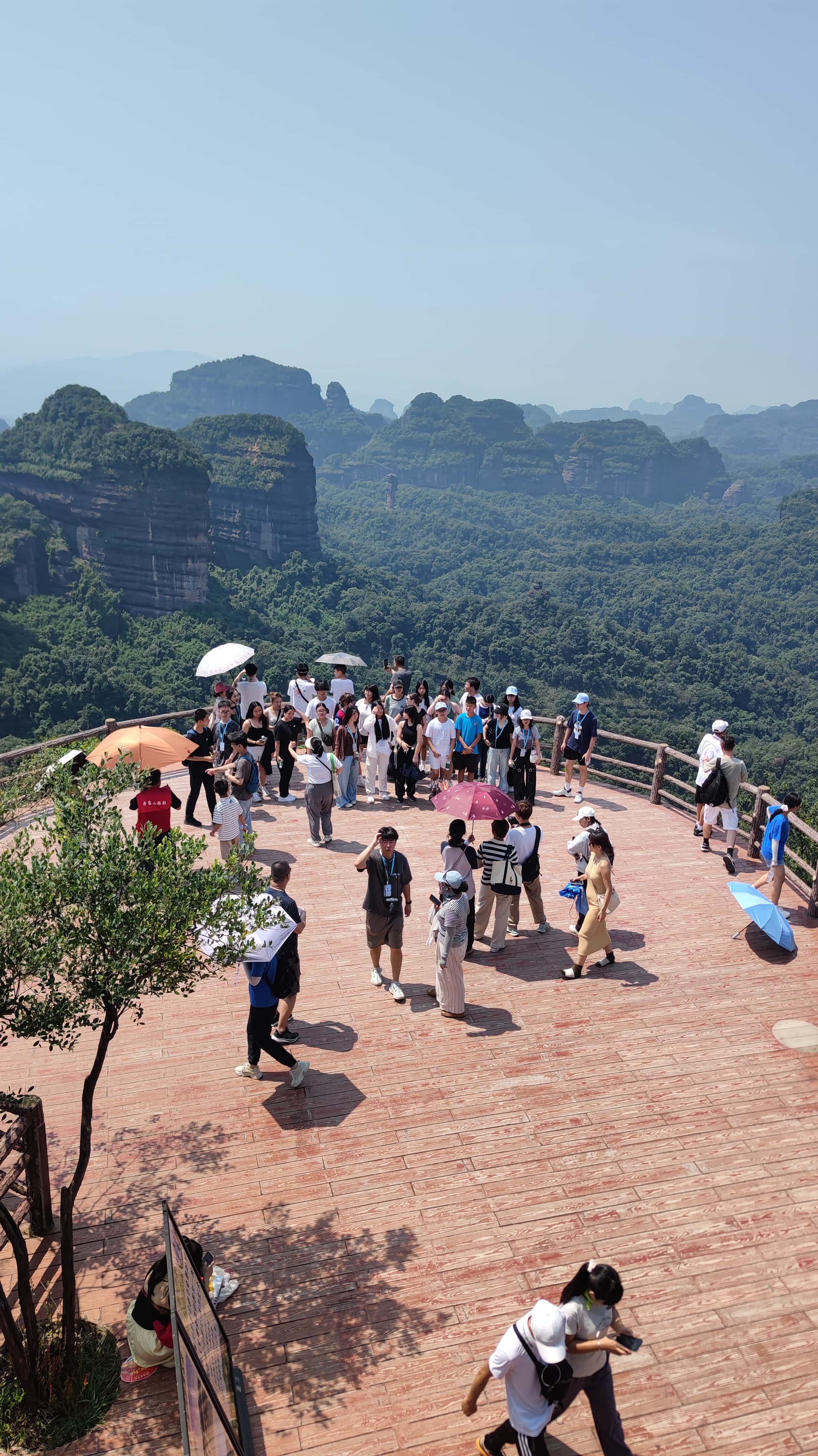 MVIMG_20250707_105057