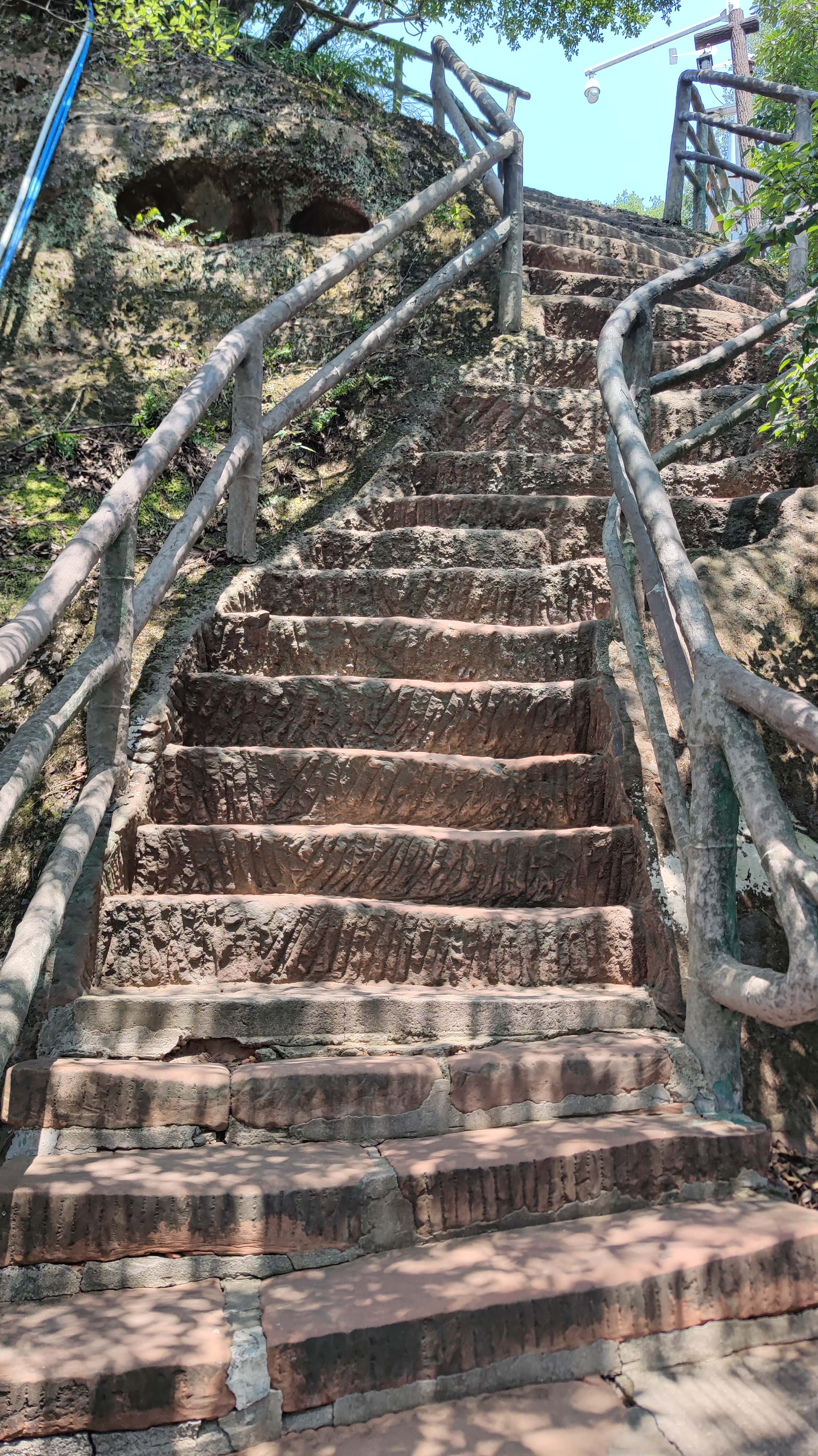 MVIMG_20250707_111953