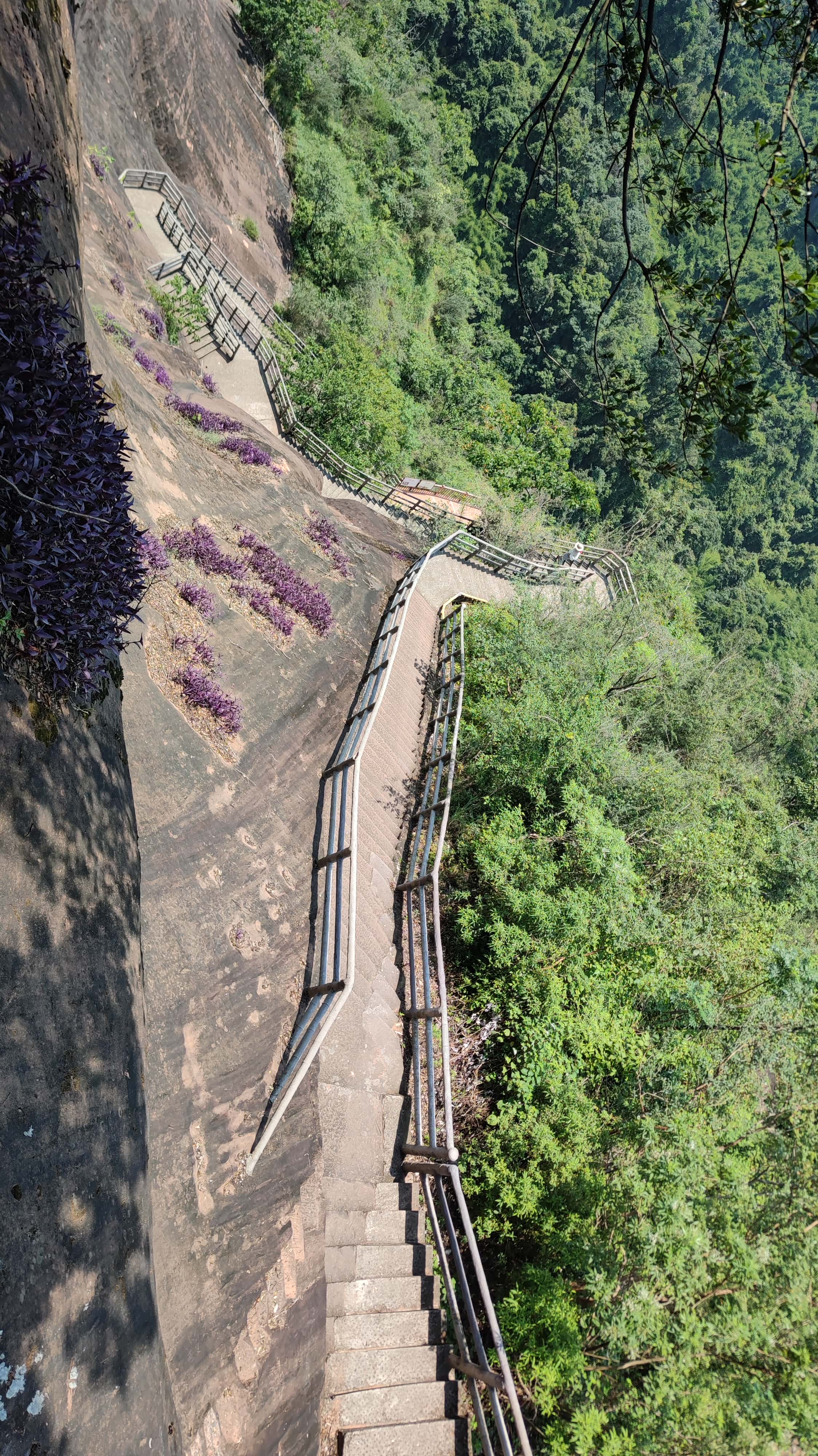 MVIMG_20250707_112819