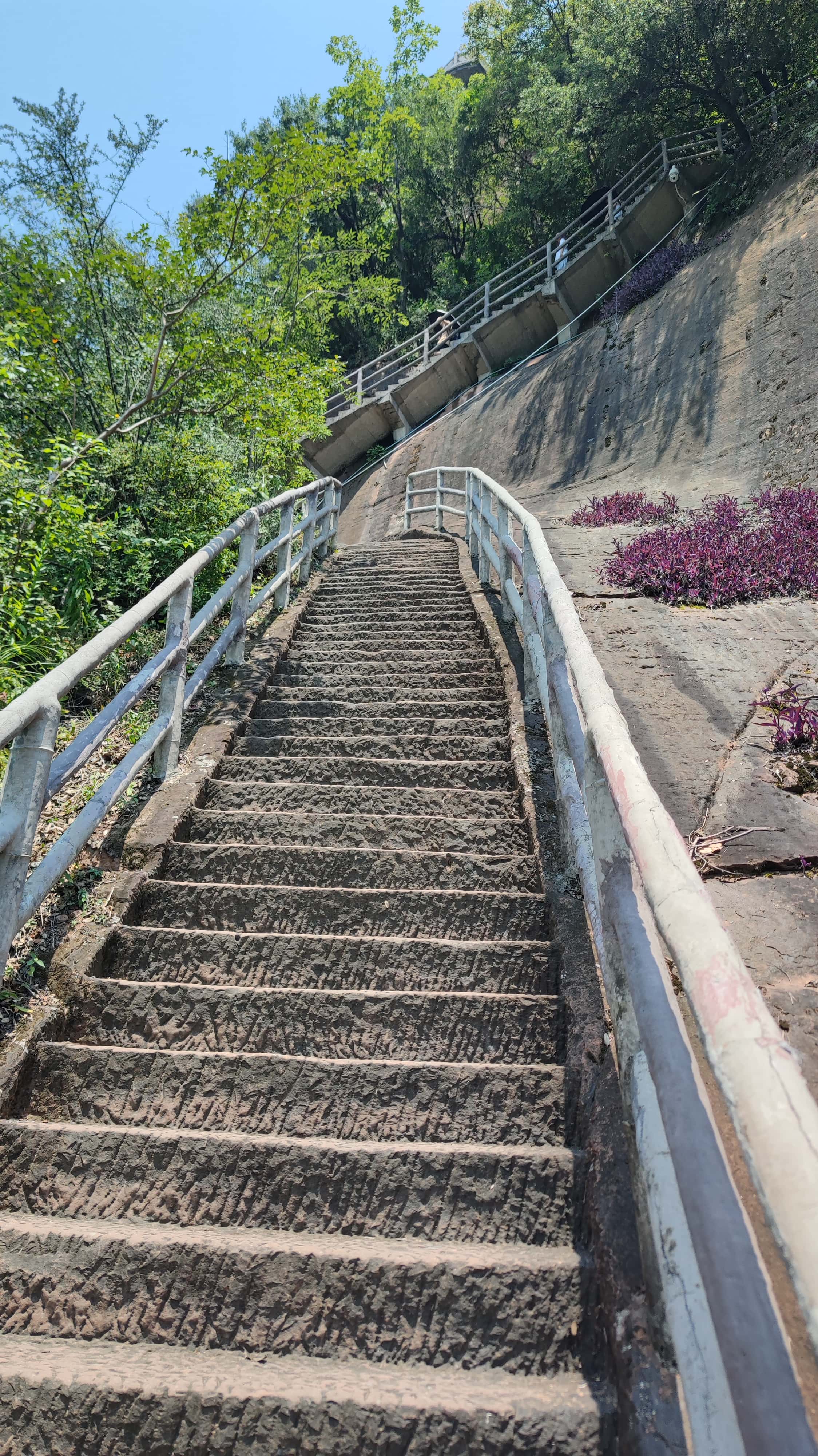 MVIMG_20250707_113016