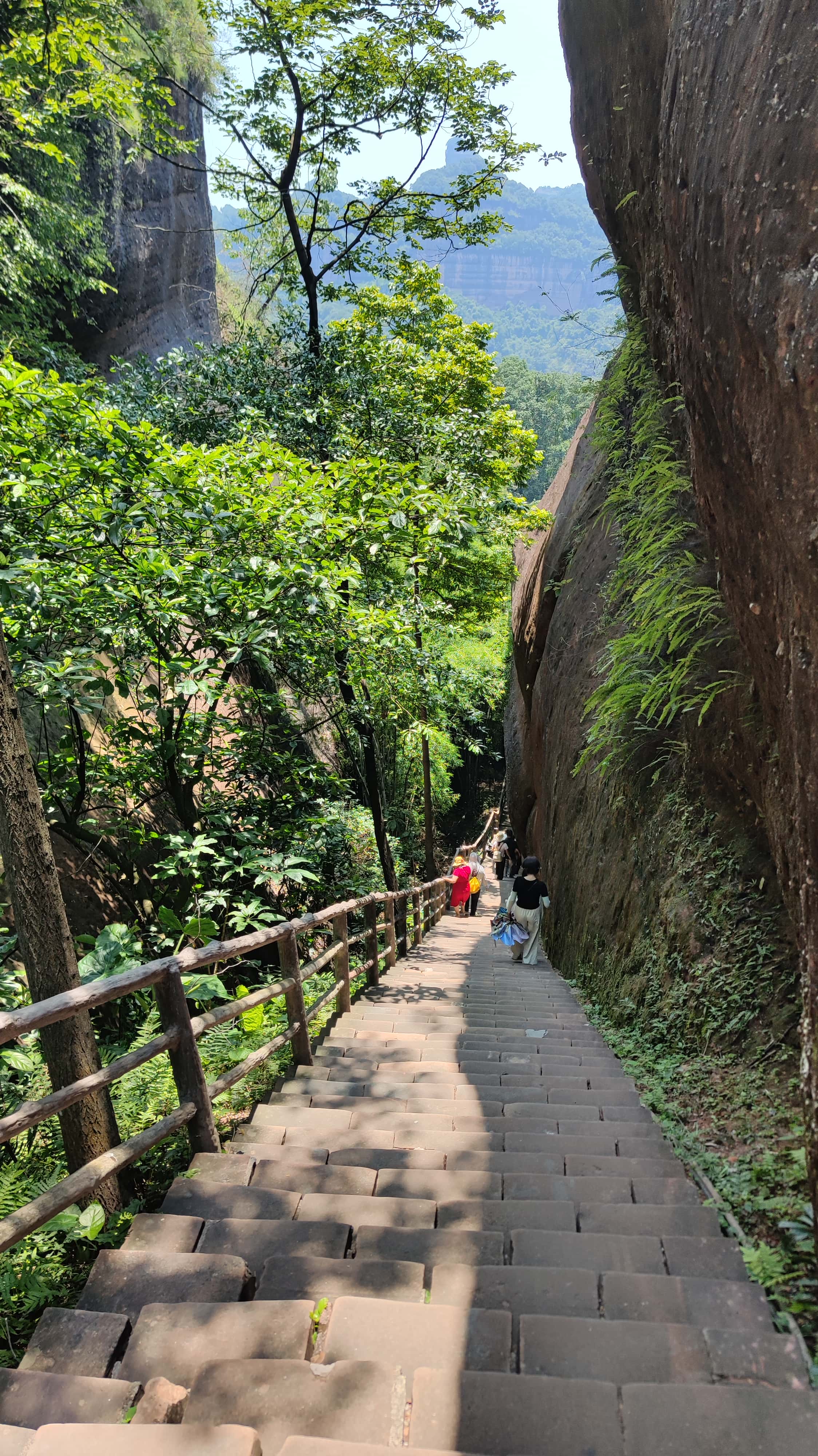 MVIMG_20250707_114016