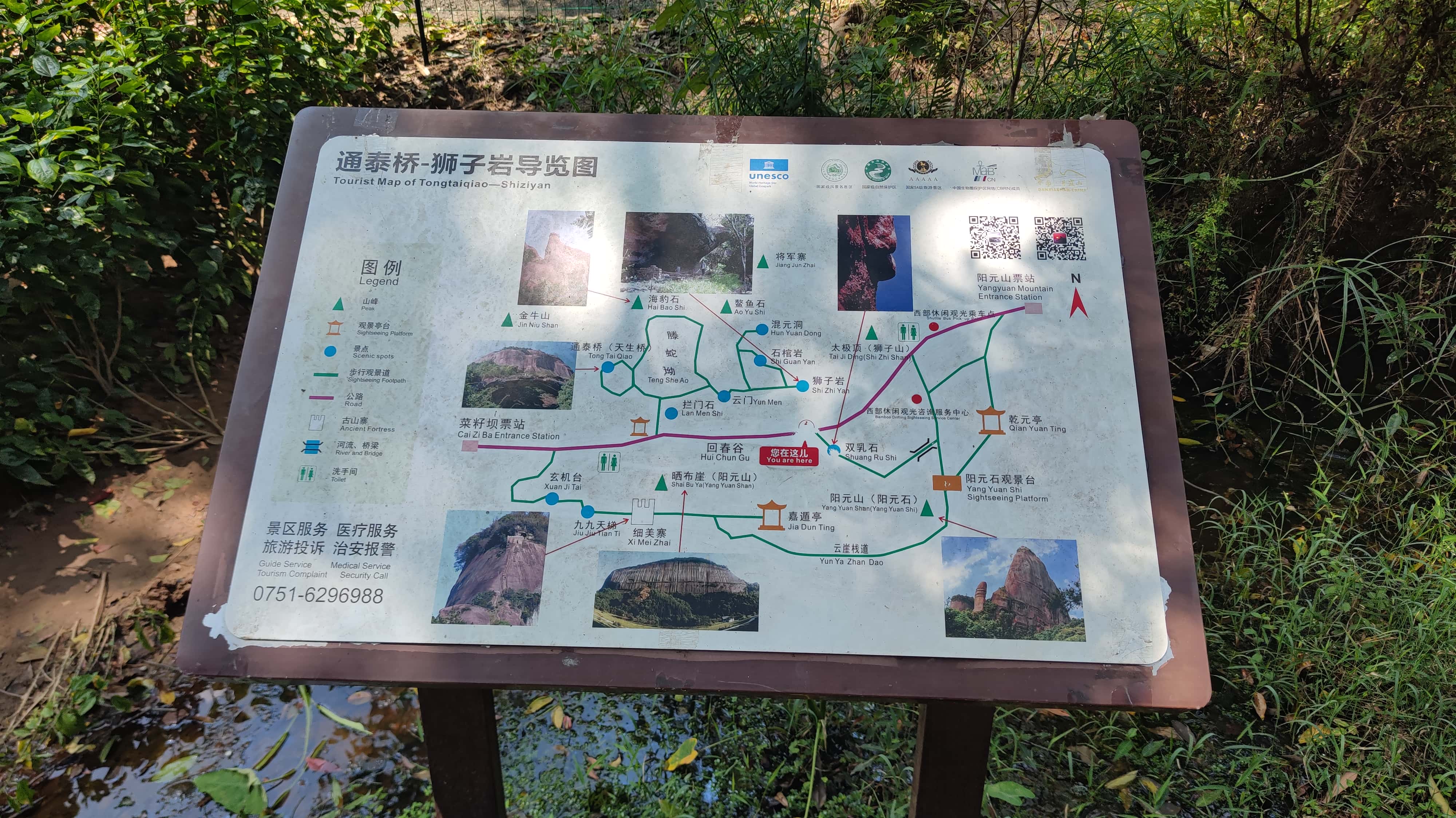 MVIMG_20250707_135410