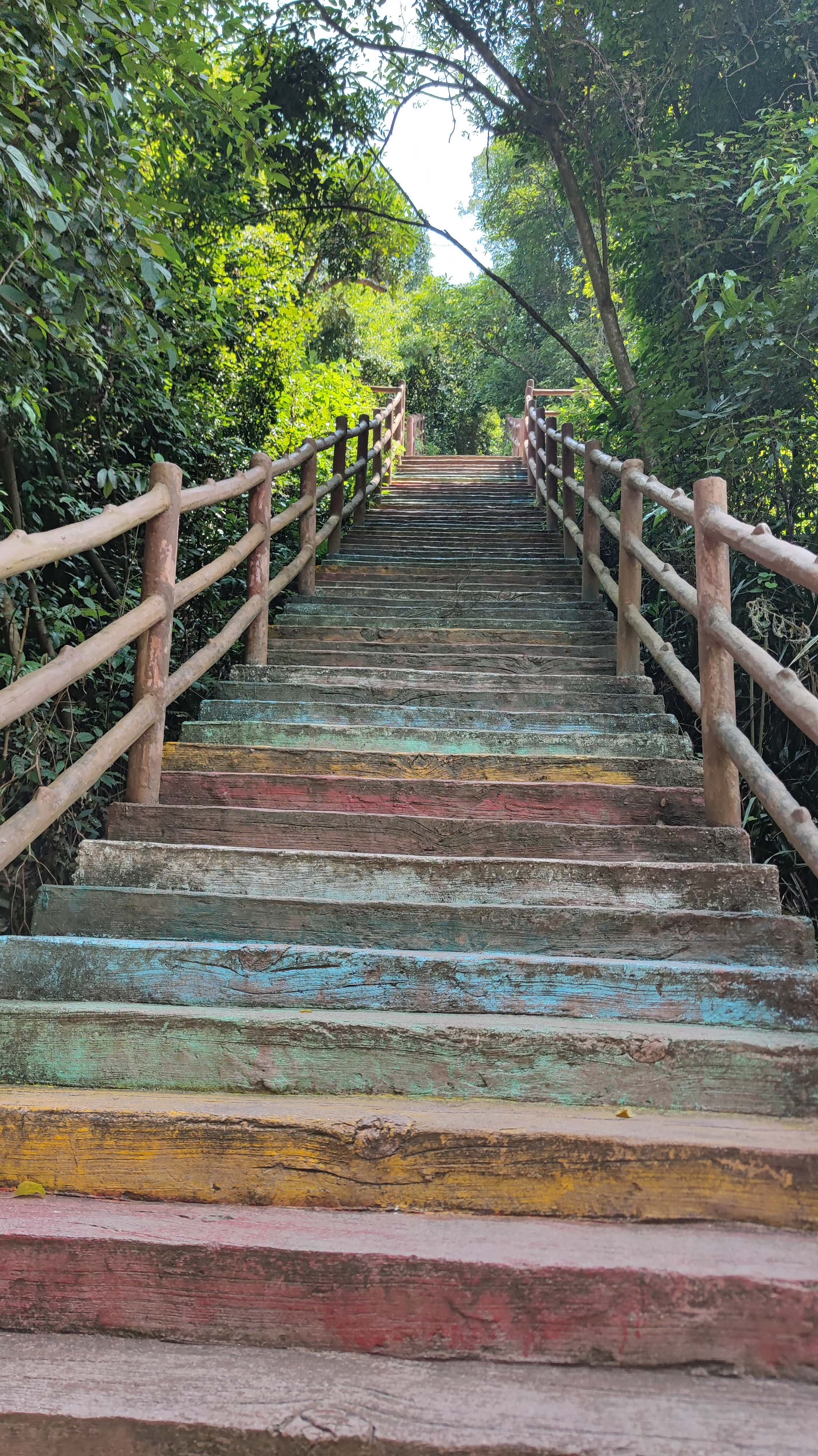 MVIMG_20250707_140627