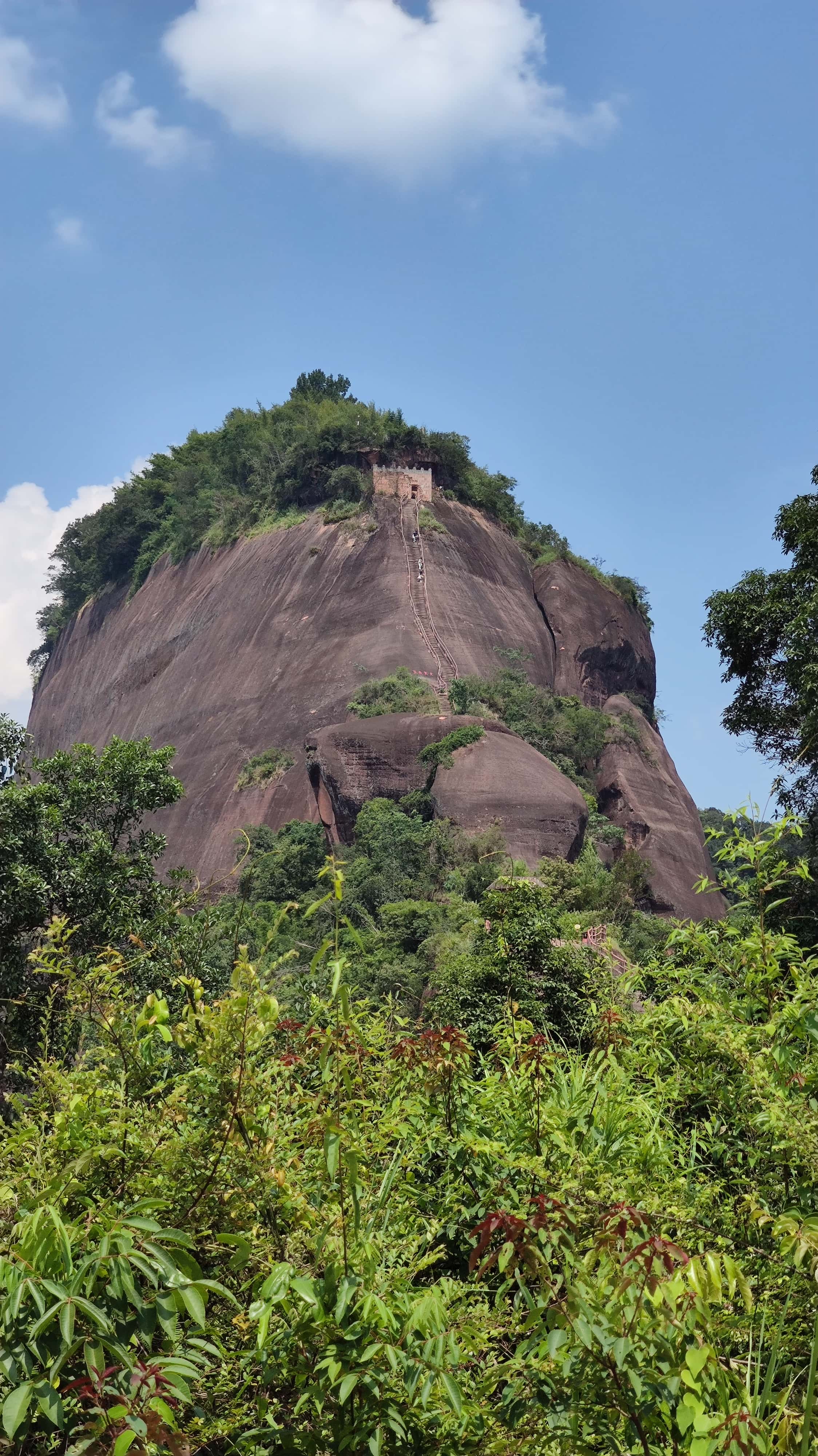 MVIMG_20250707_141345