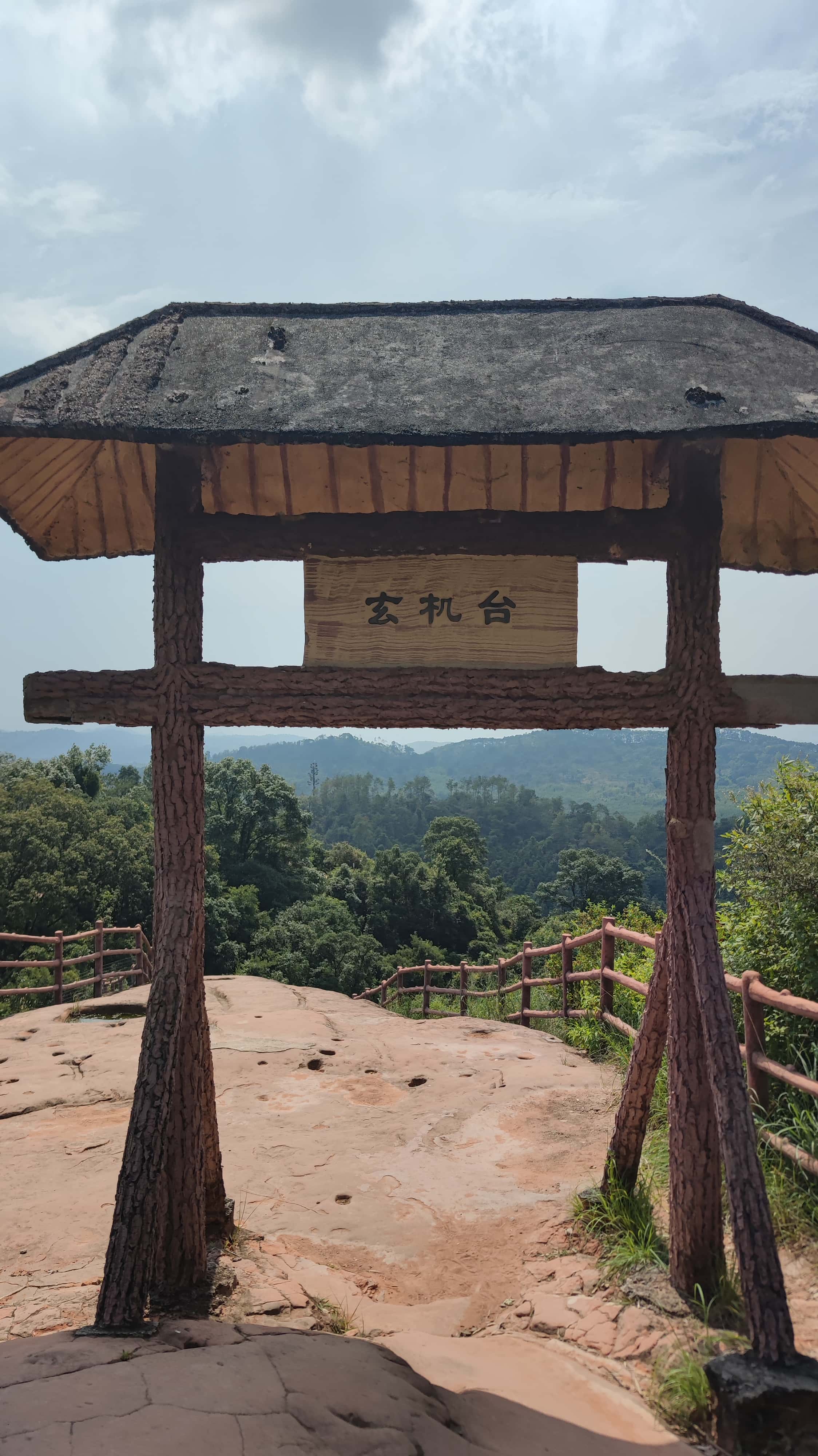 MVIMG_20250707_143957