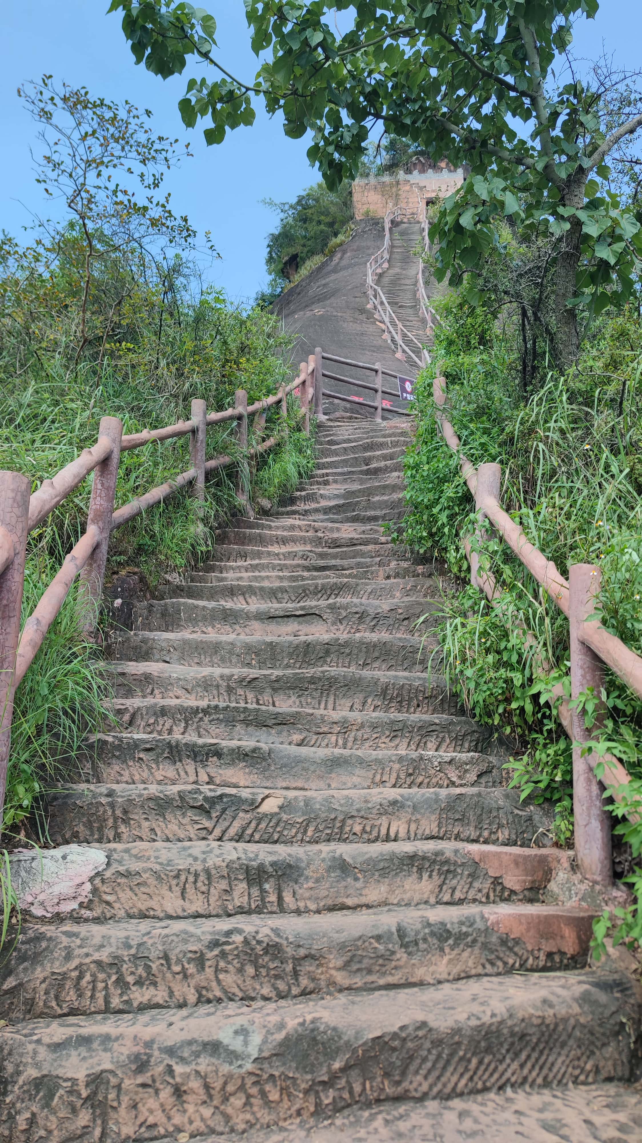 MVIMG_20250707_144410