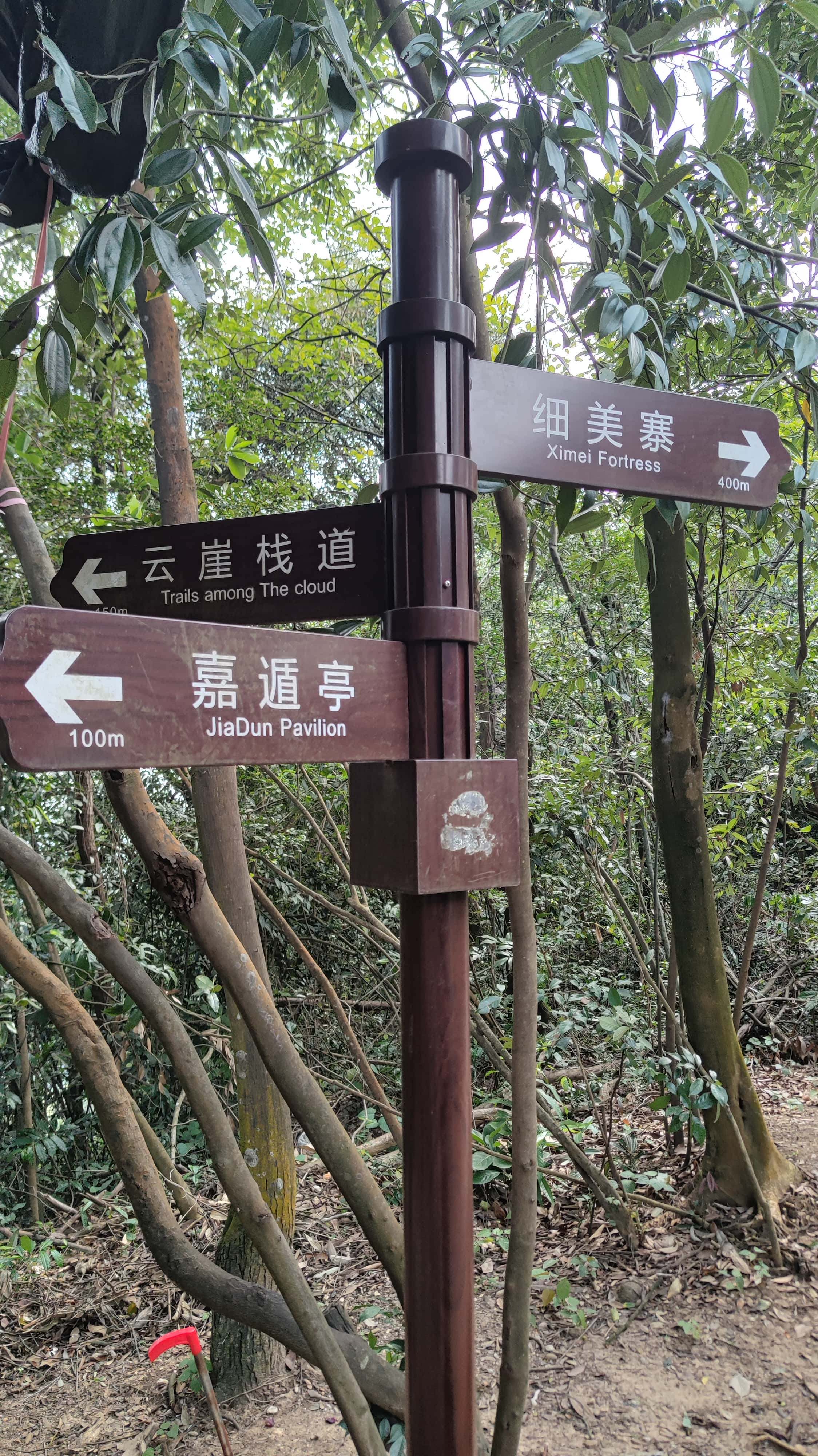 MVIMG_20250707_145850