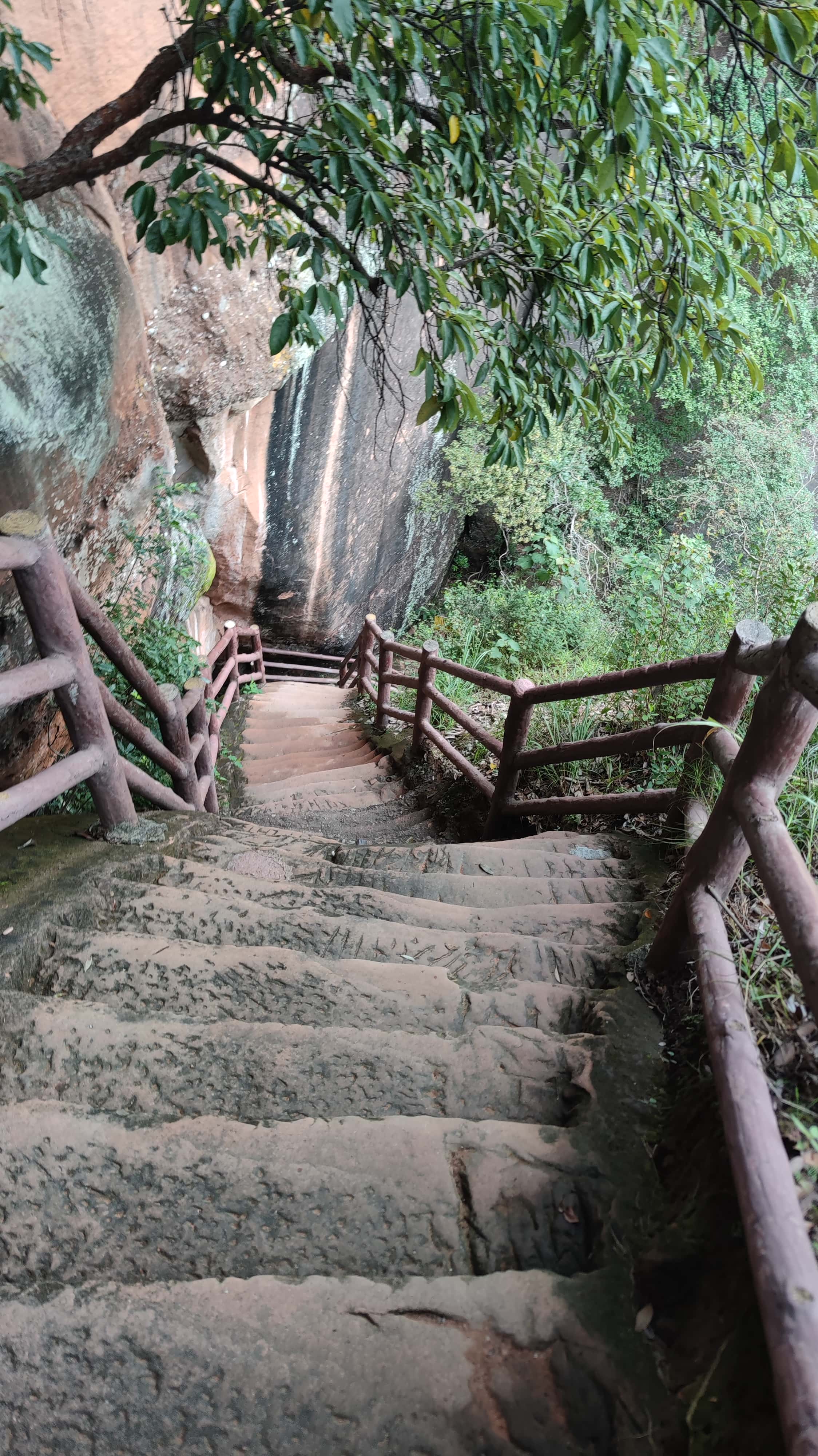 MVIMG_20250707_151635_1