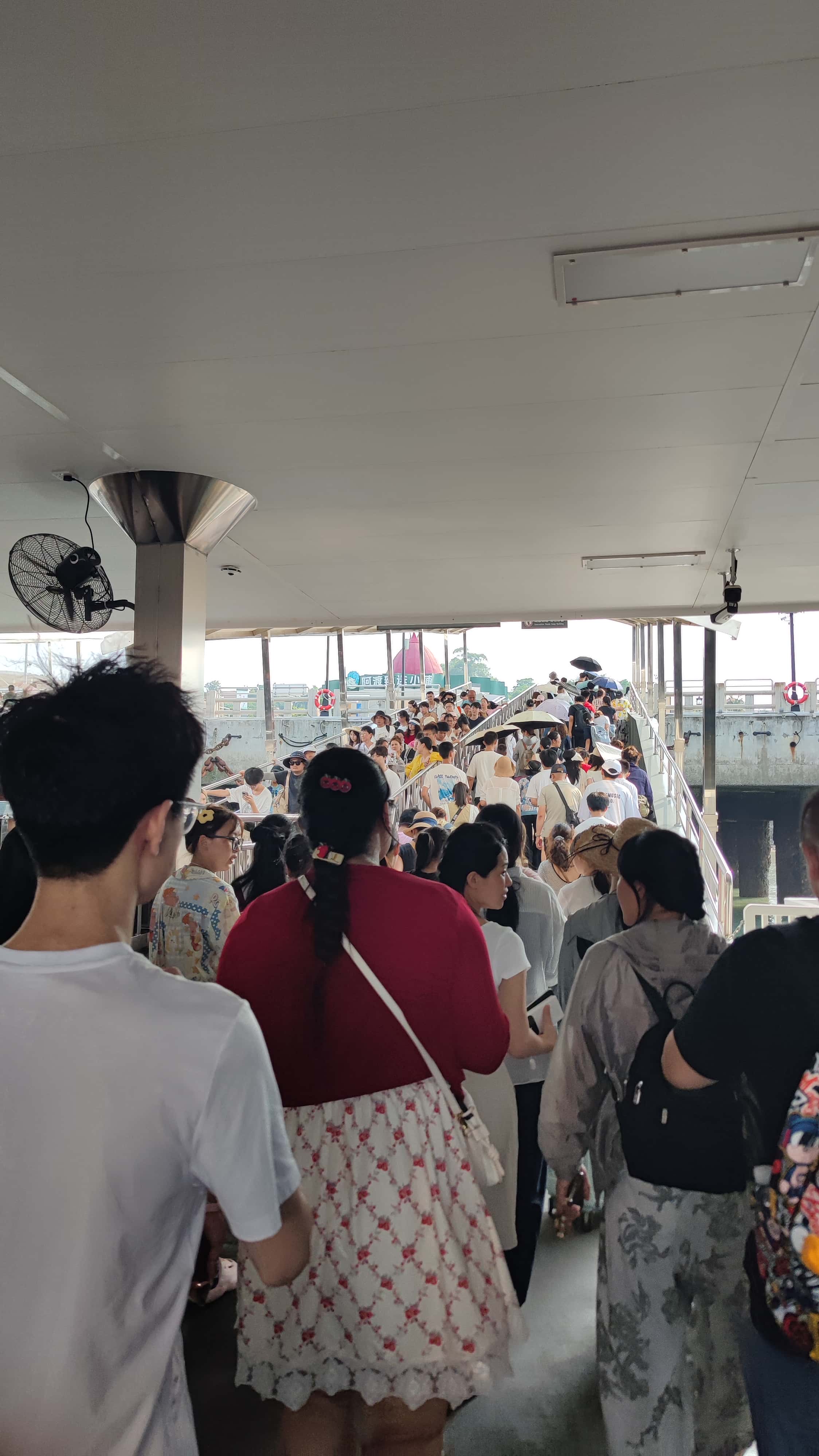 MVIMG_20250708_155547