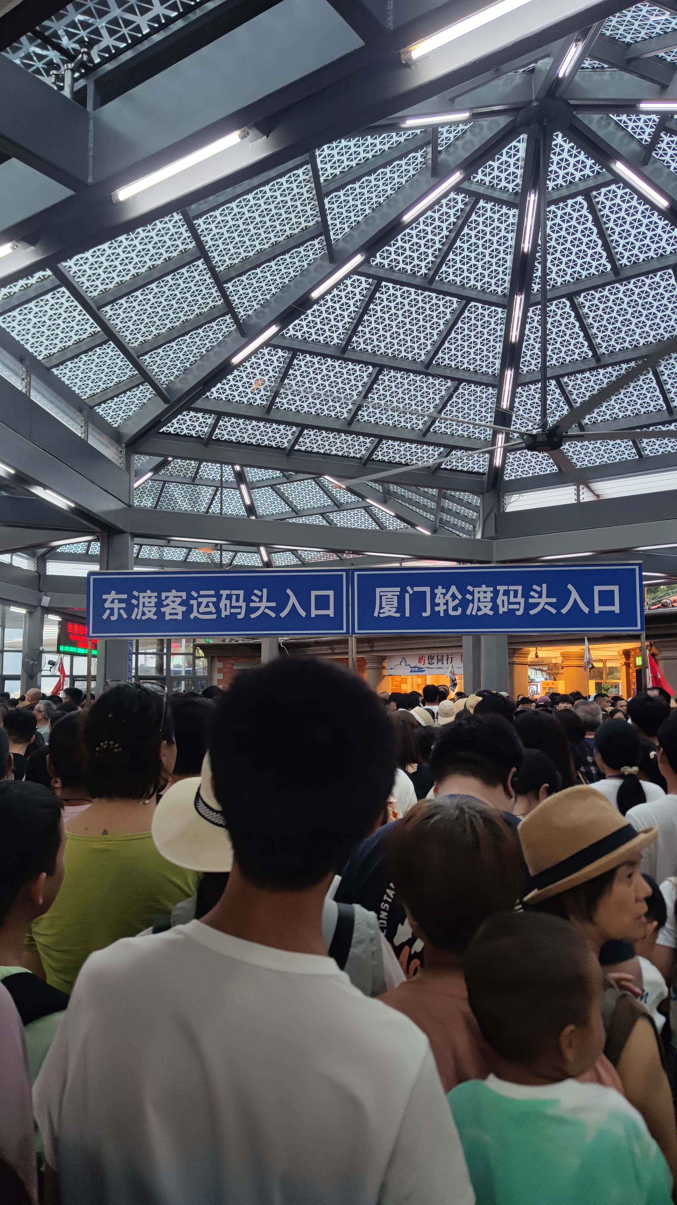 MVIMG_20250708_183028