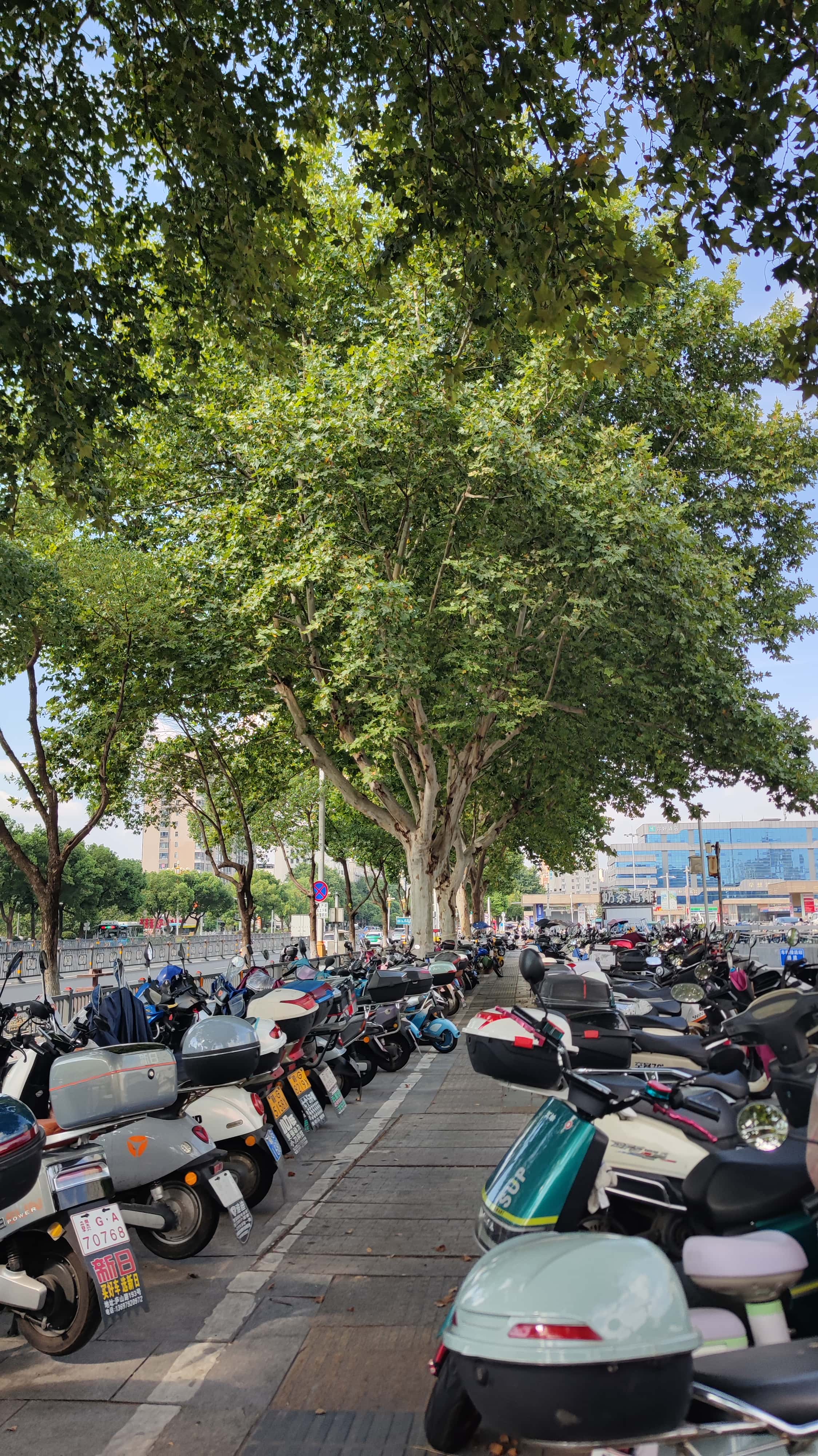 MVIMG_20250709_161224