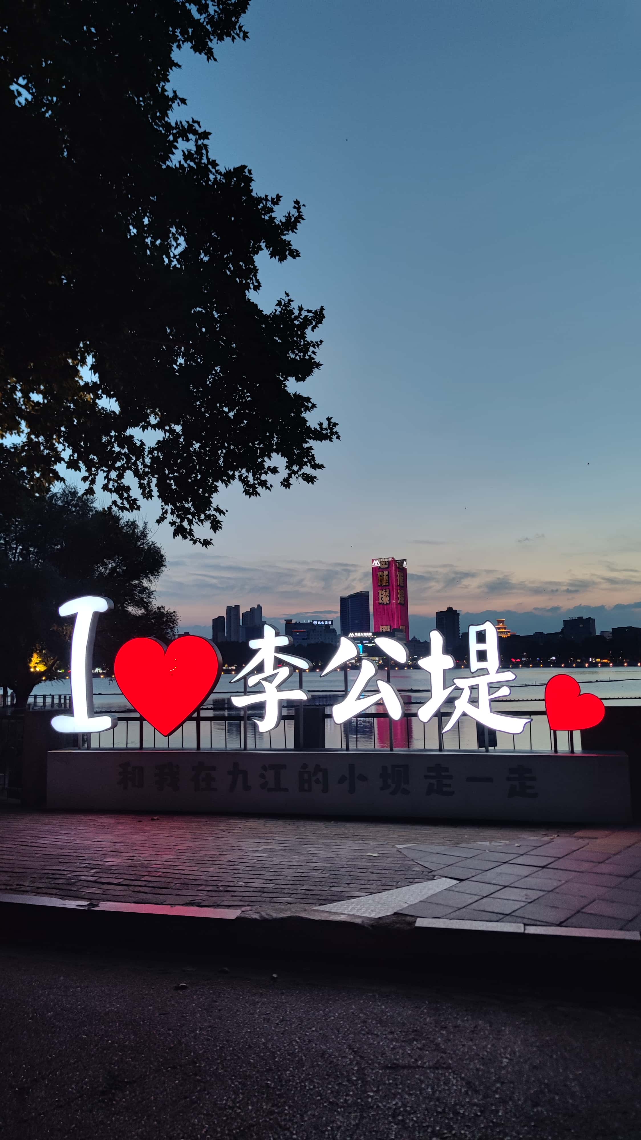 MVIMG_20250709_193306