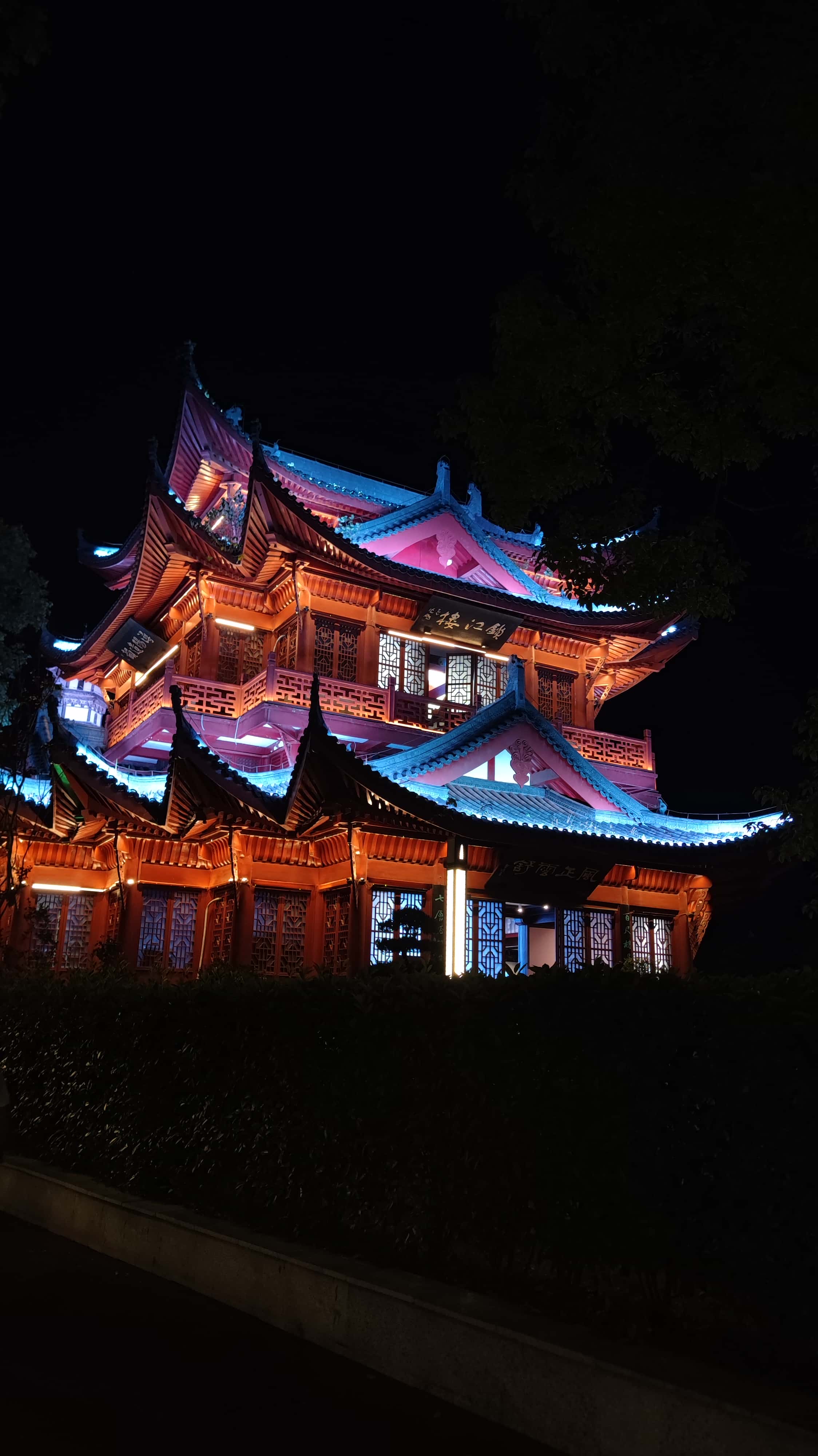 MVIMG_20250709_203527