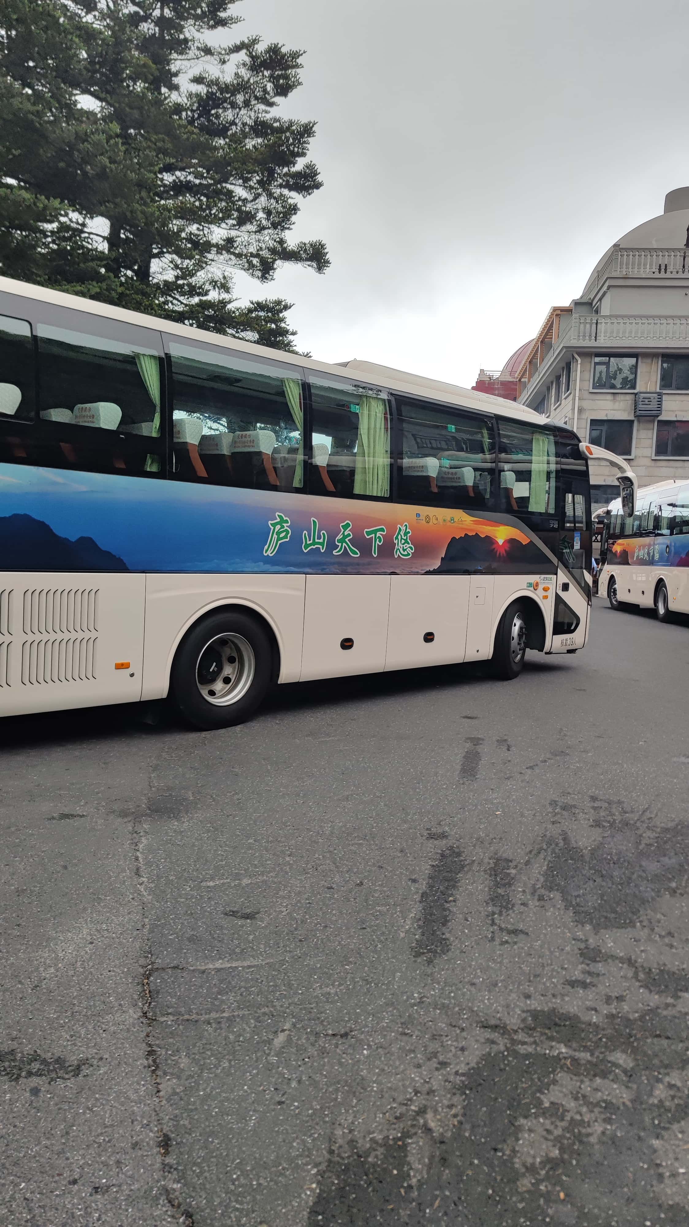 MVIMG_20250710_081105