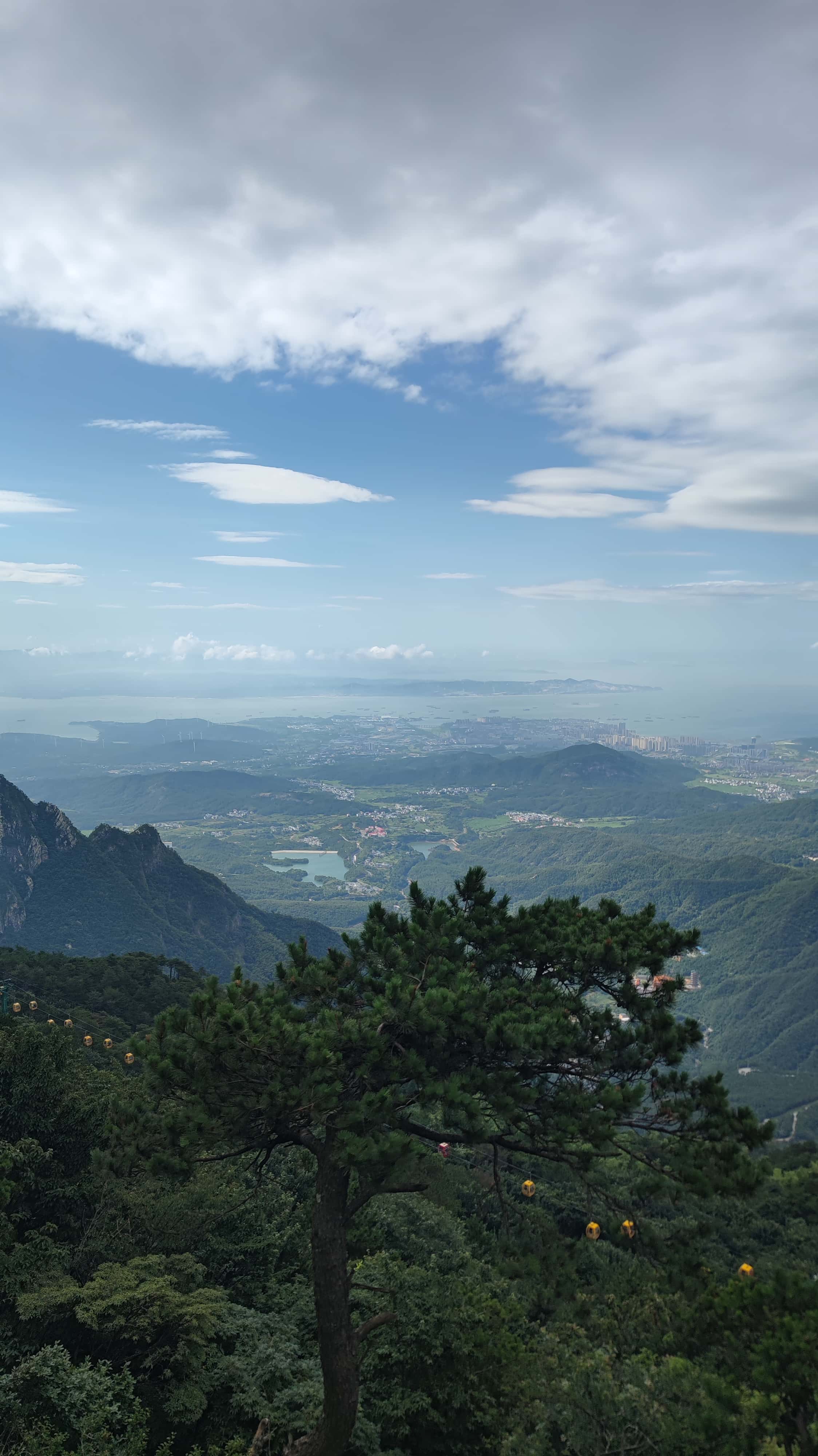 MVIMG_20250710_084706