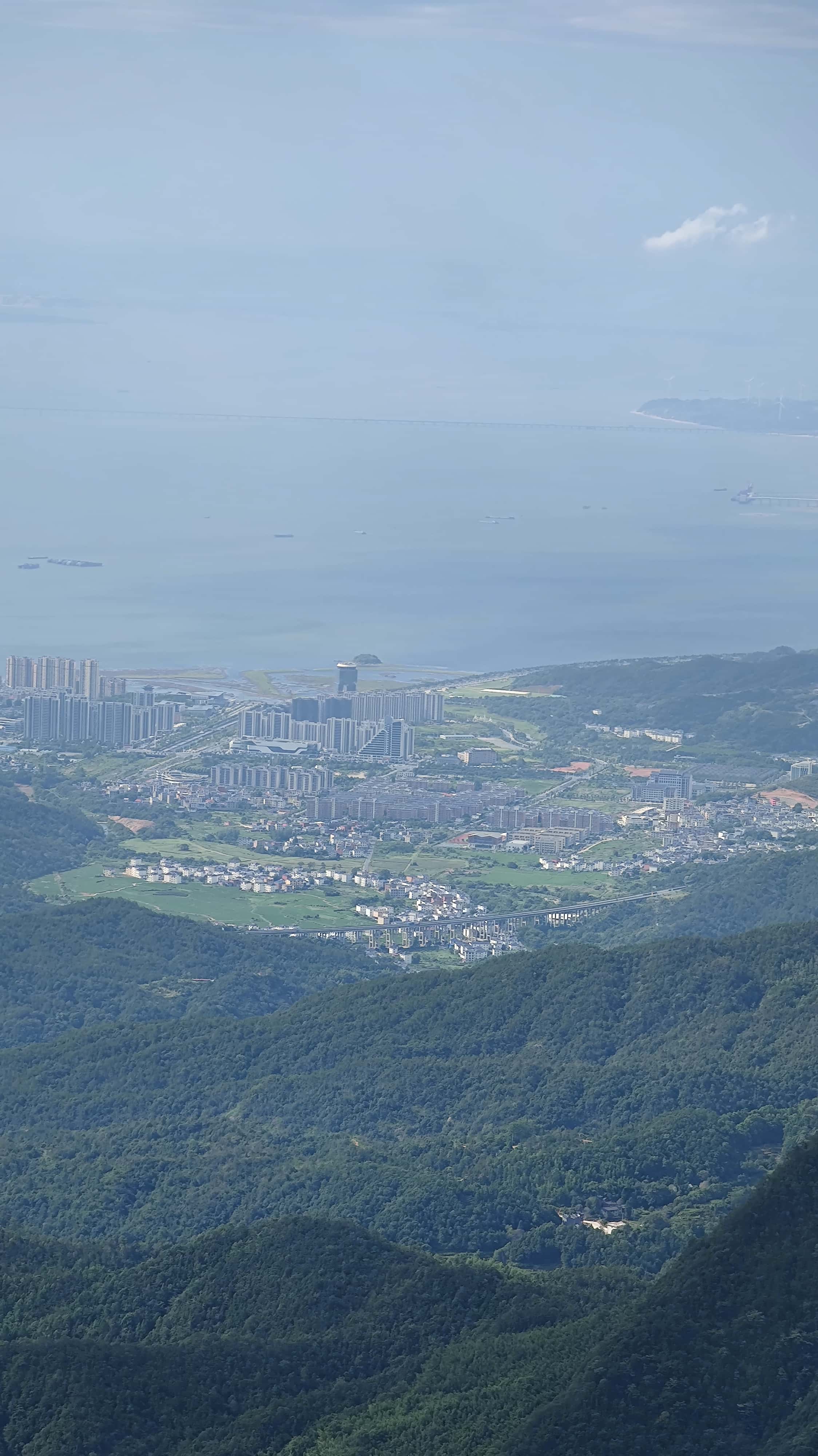 MVIMG_20250710_084740