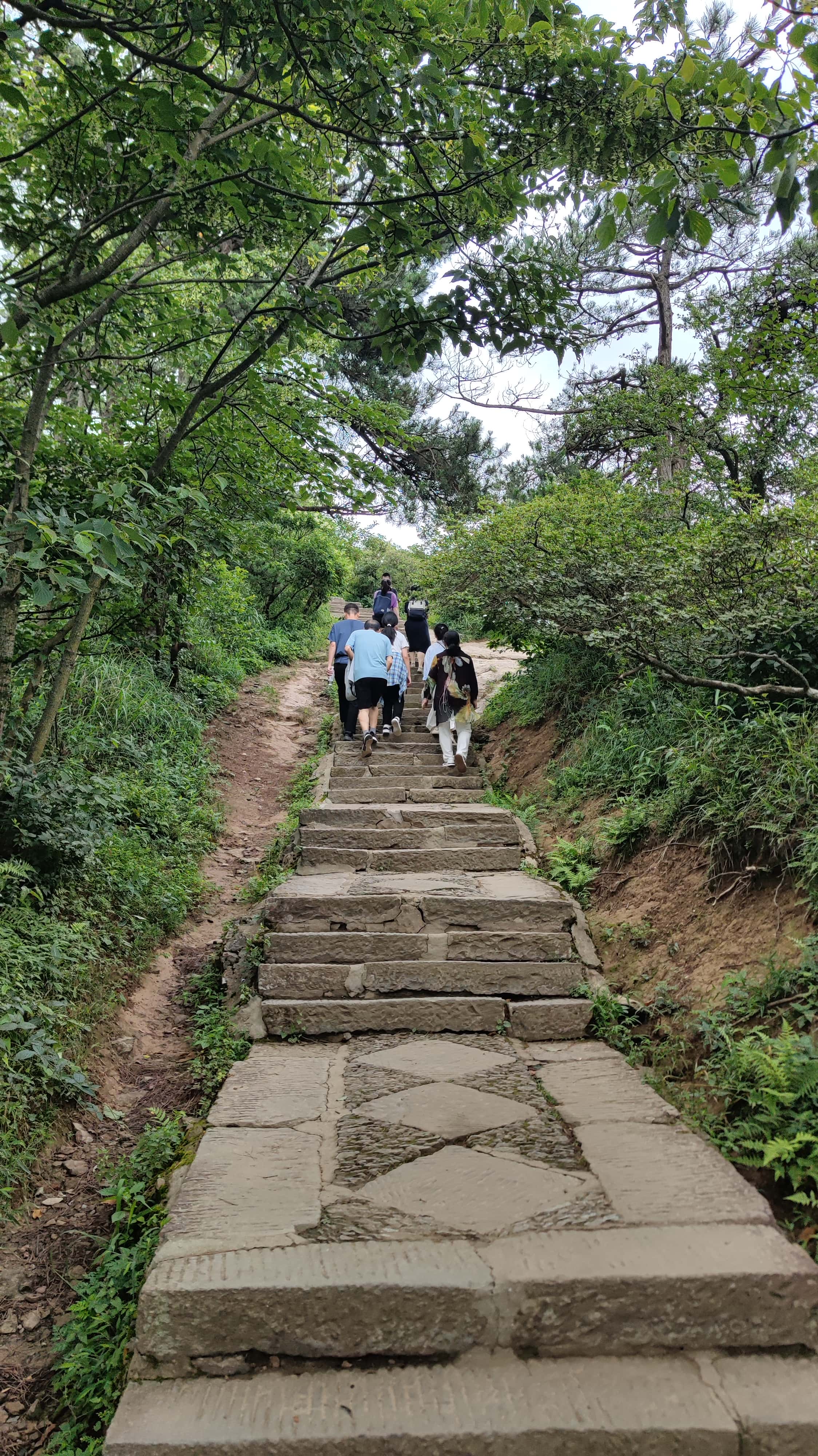 MVIMG_20250710_095127