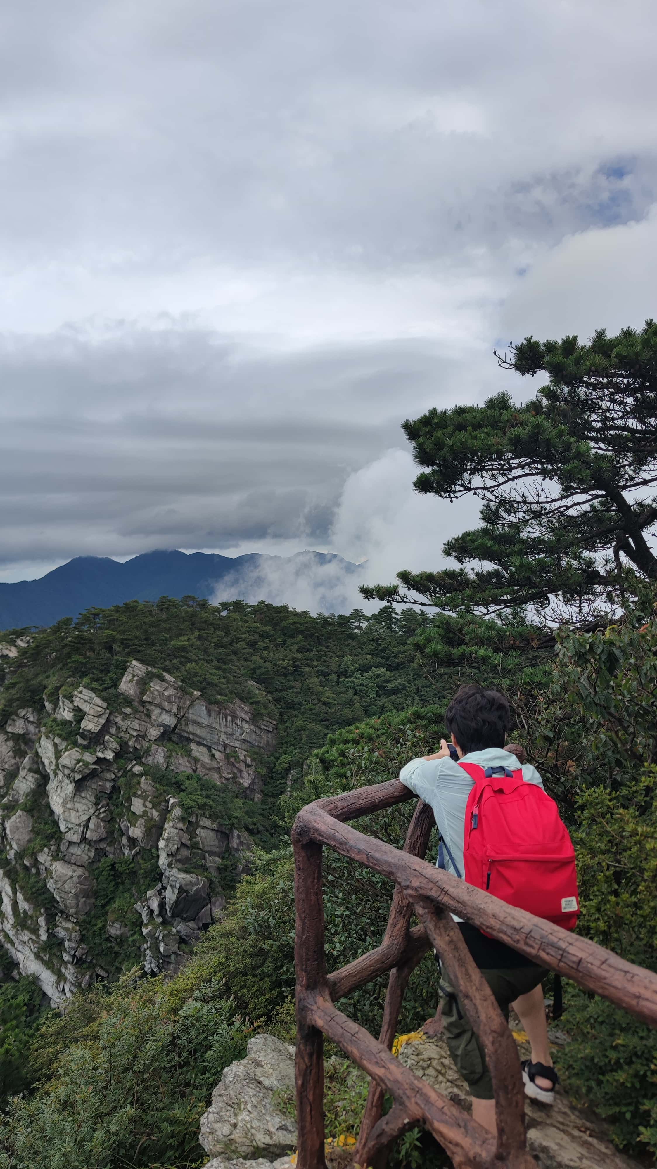 MVIMG_20250710_095239