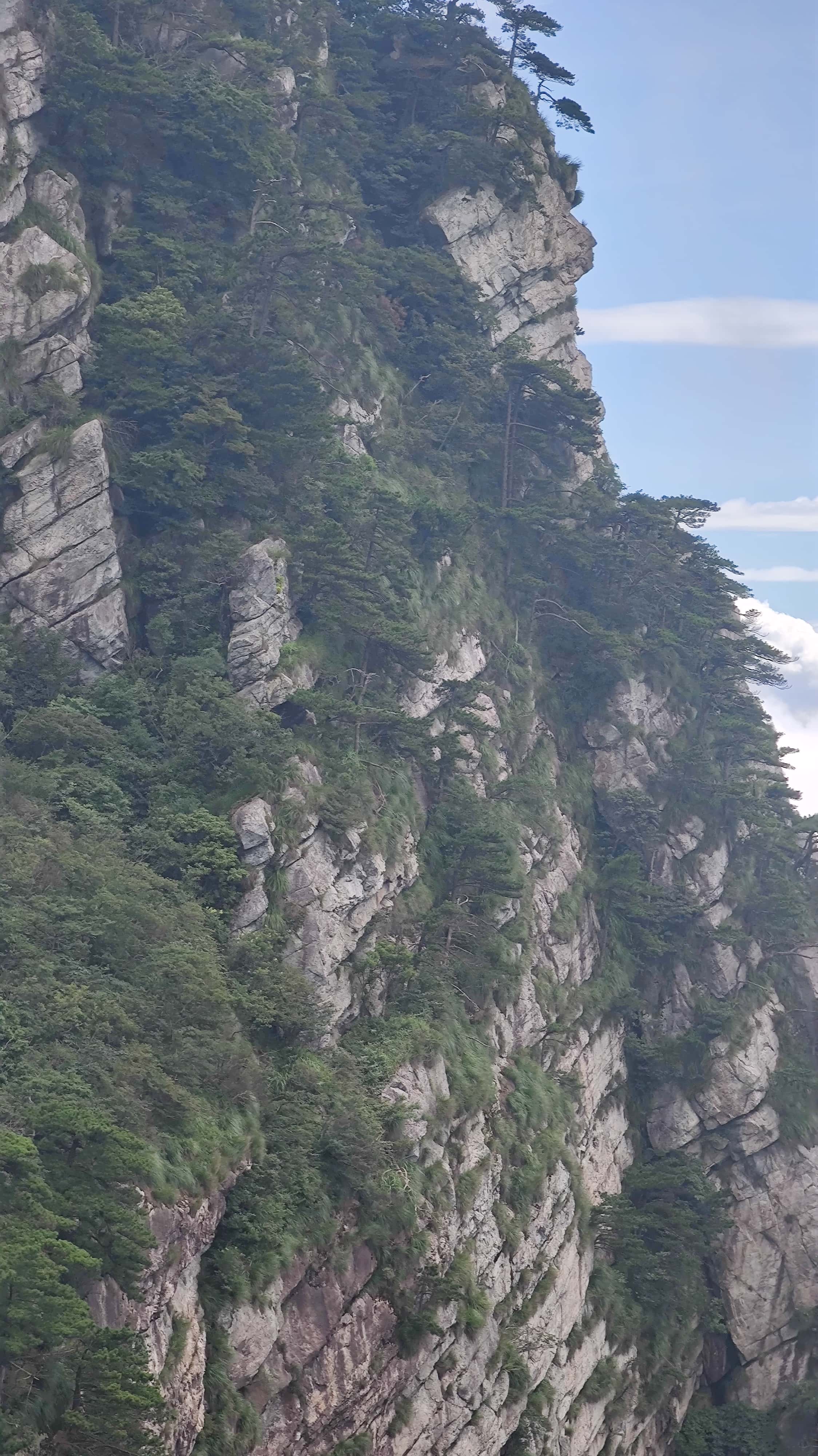 MVIMG_20250710_101734