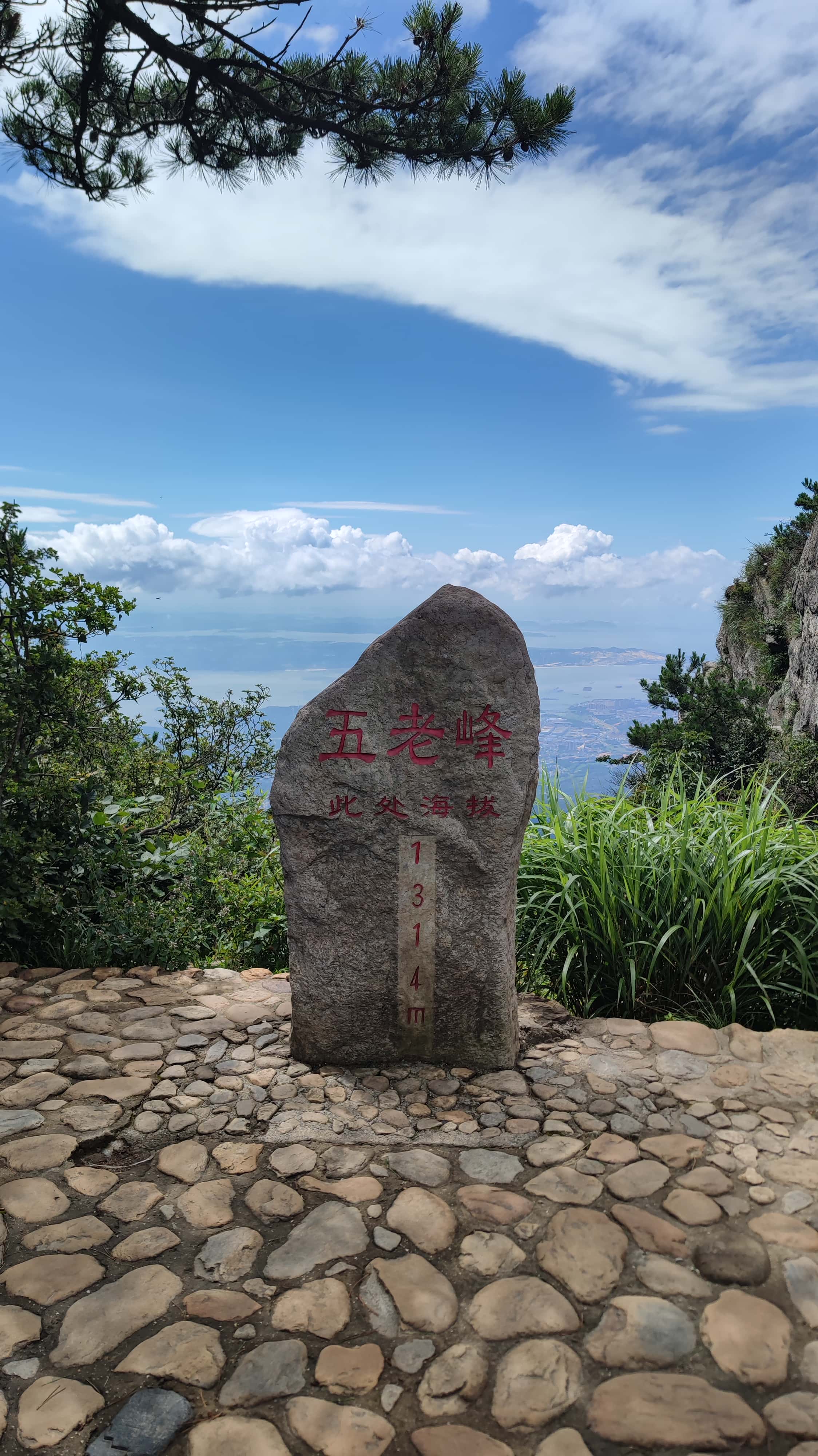 MVIMG_20250710_102058