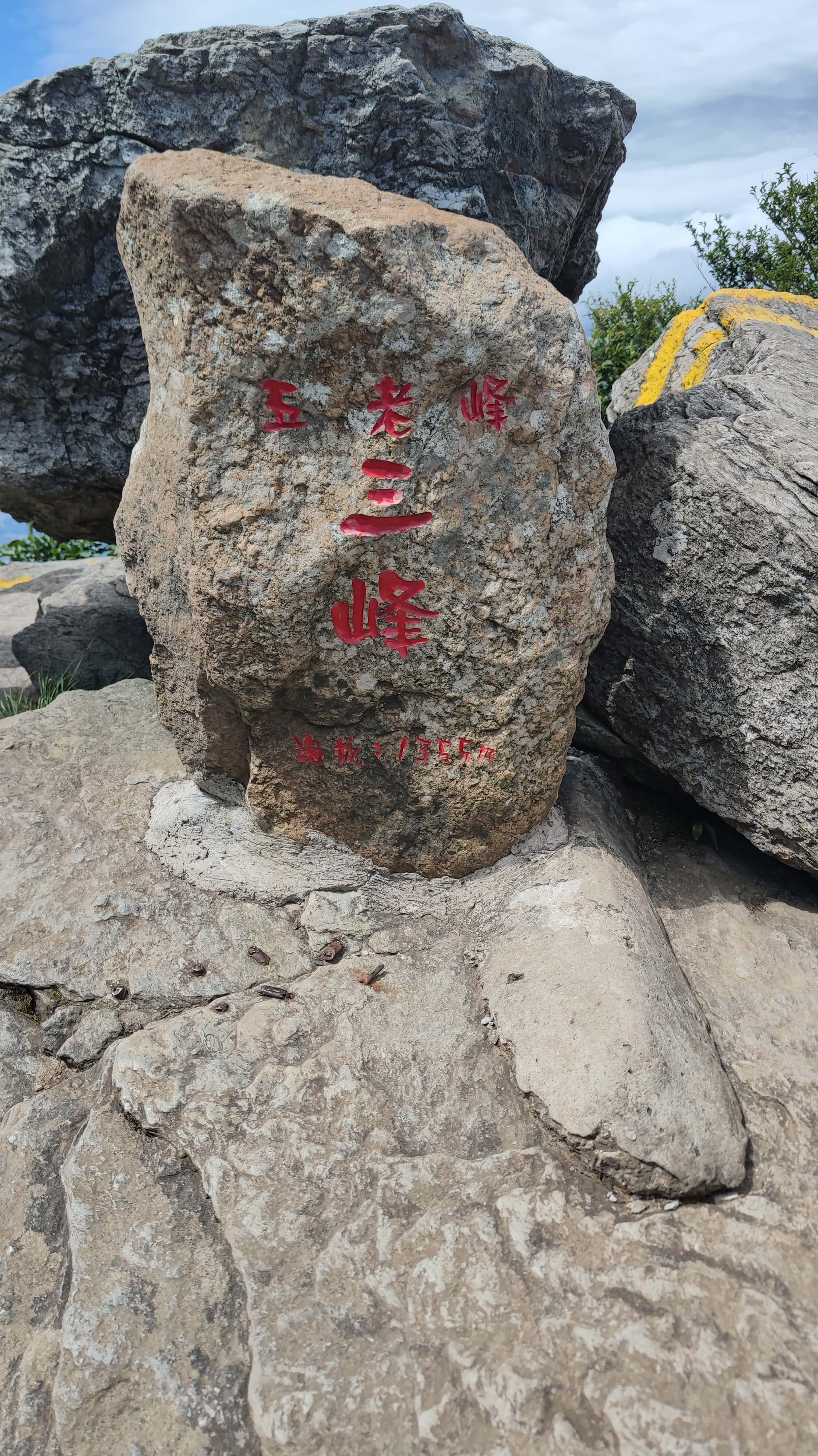 MVIMG_20250710_102511_1